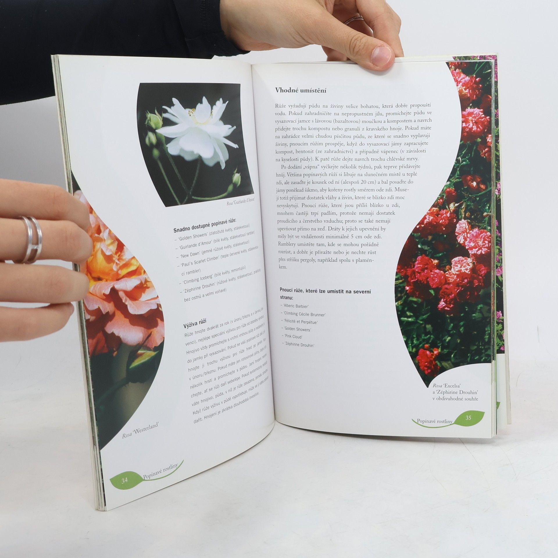 Renée Laros Popínavé rostliny