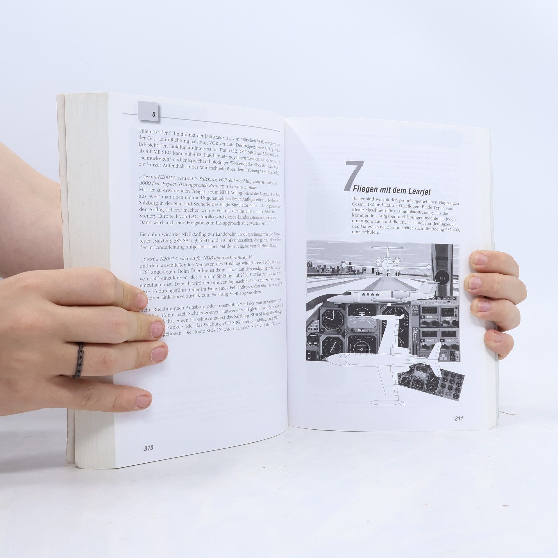 Werner Leinhos PCPraxisBuch: Flight Simulator für Windows 95