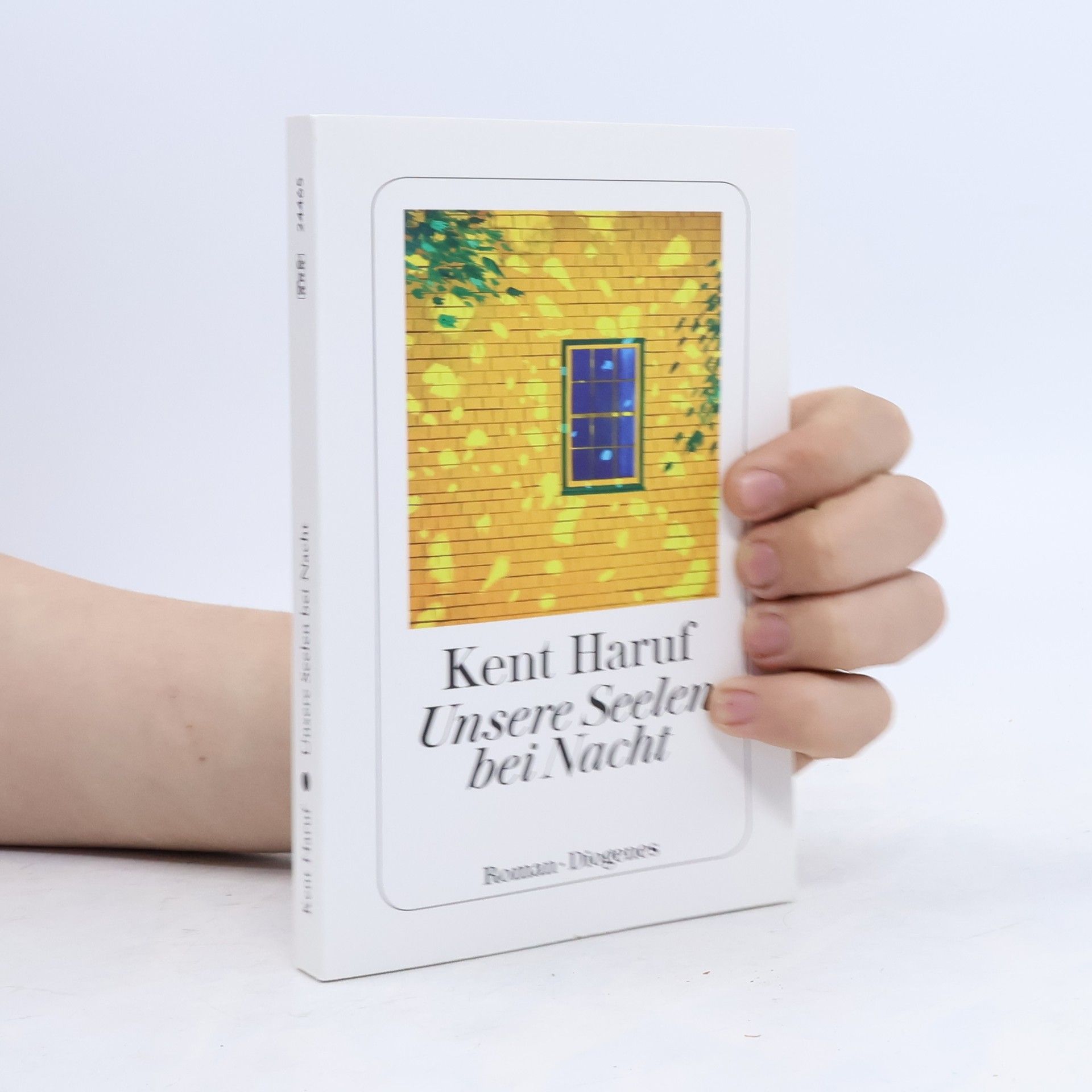 Kent Haruf Unsere Seelen bei Nacht