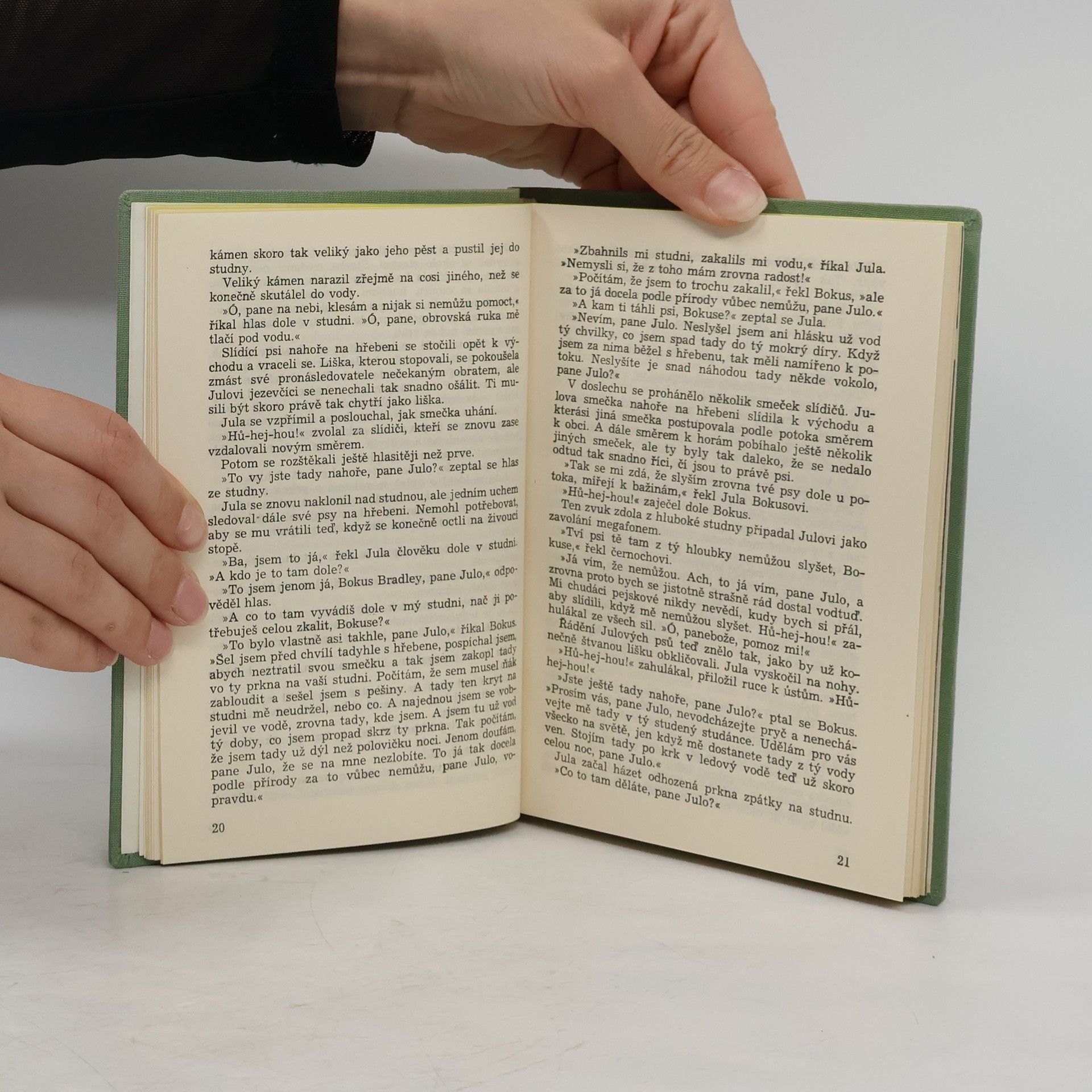 Erskine Caldwell Tam na jihu