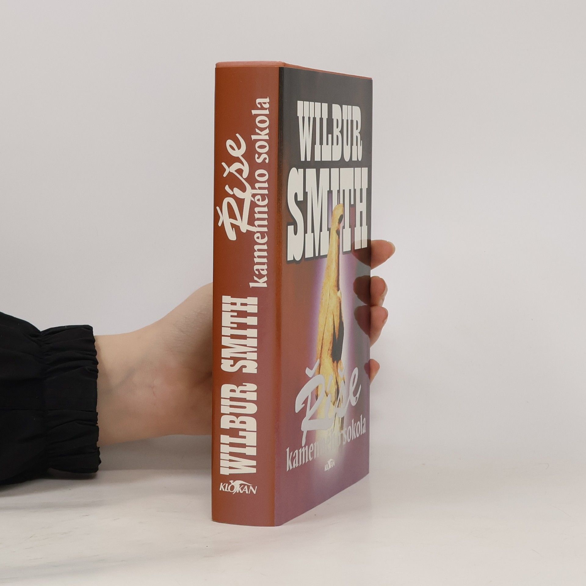 Wilbur Smith Říše kamenného sokola