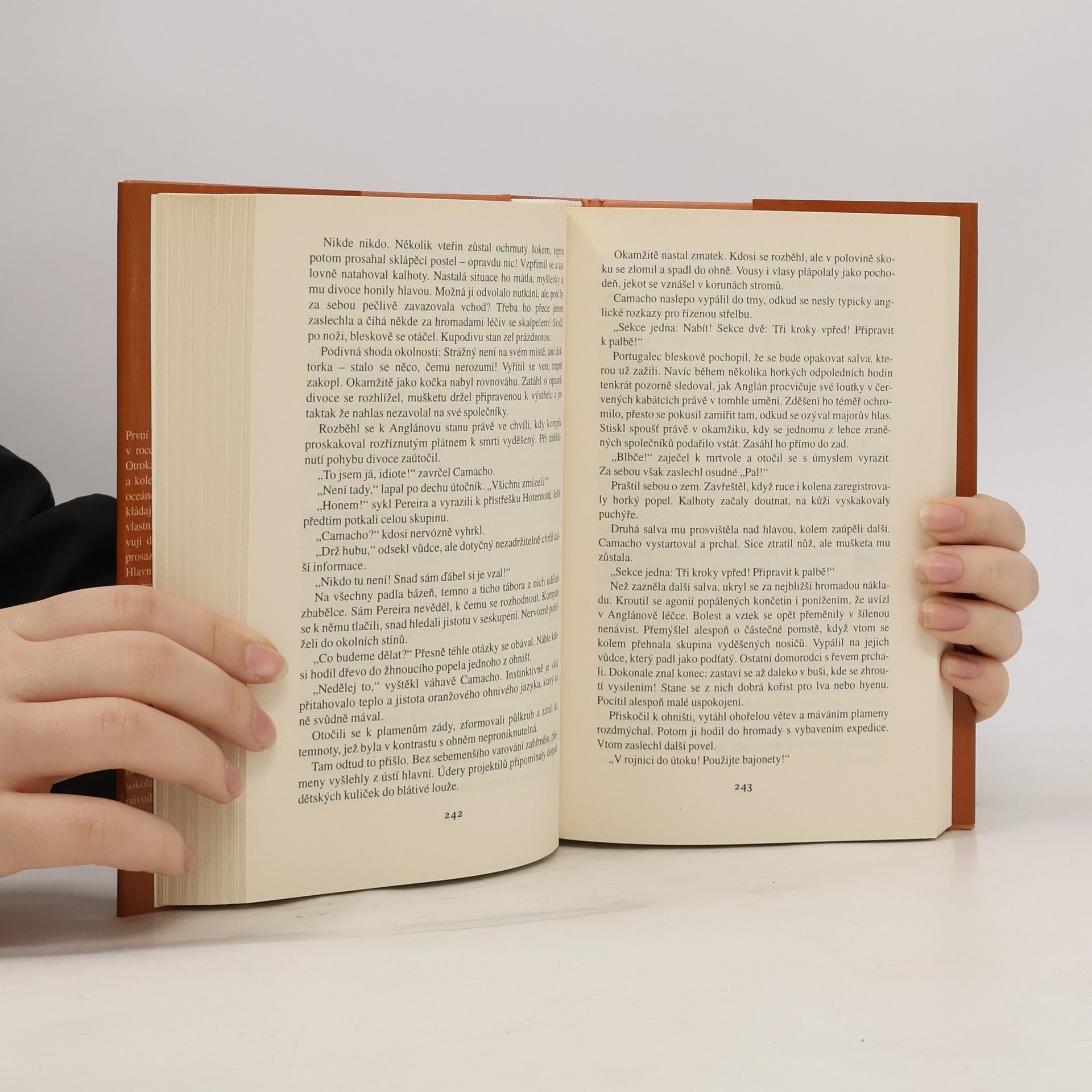 Wilbur Smith Říše kamenného sokola
