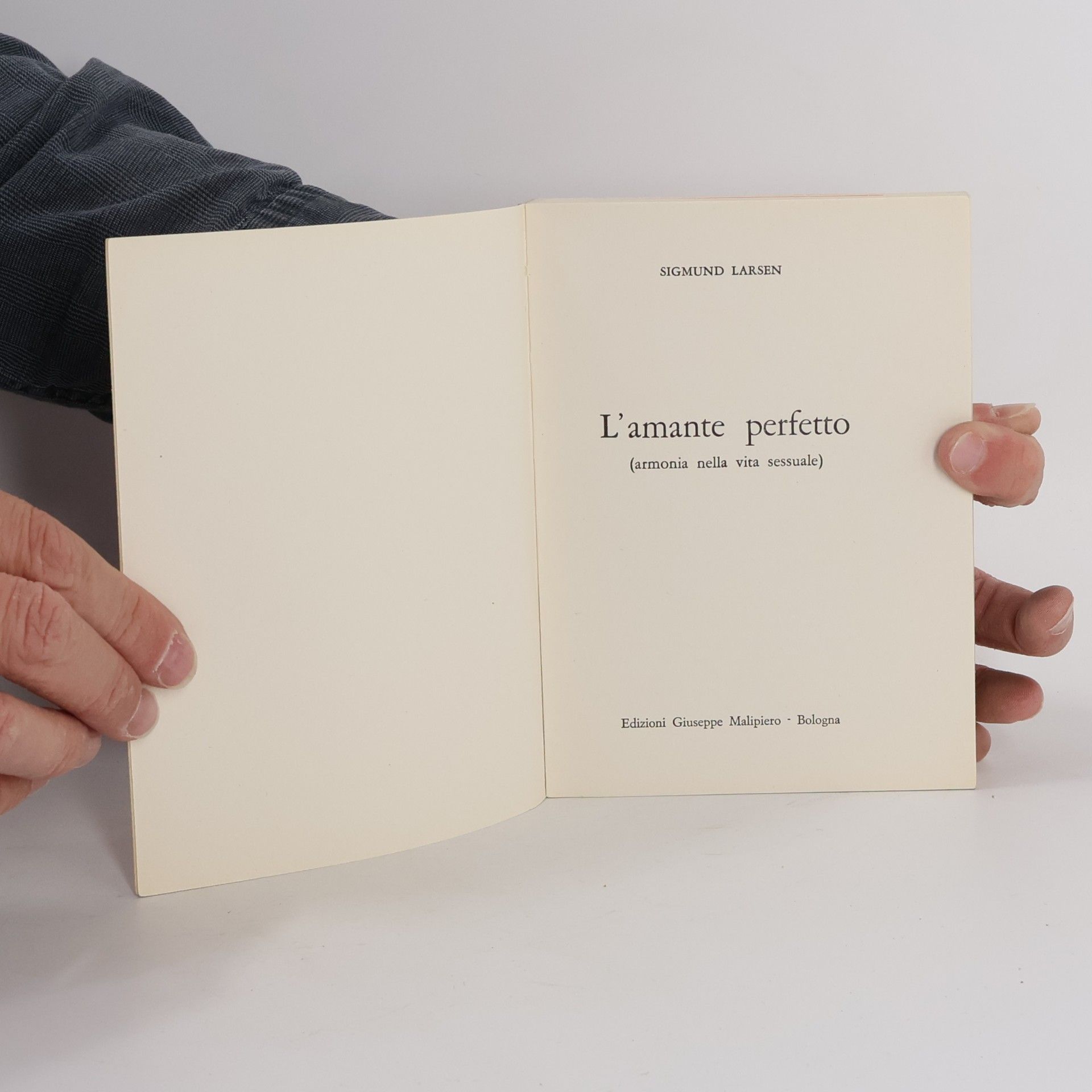 Sigmund Larsen L'amante perfetto