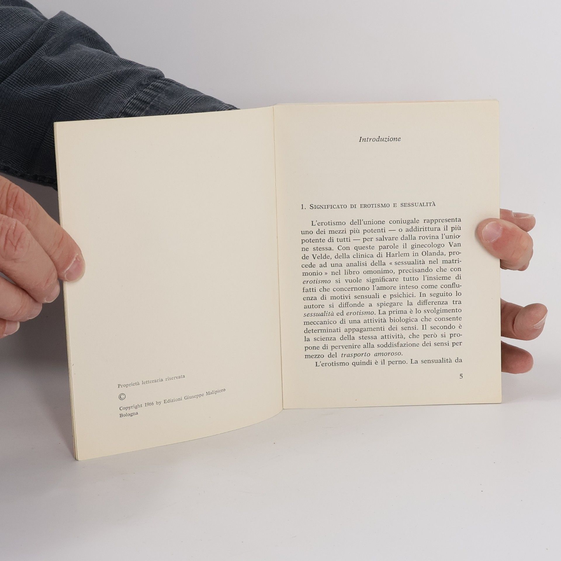 Sigmund Larsen L'amante perfetto