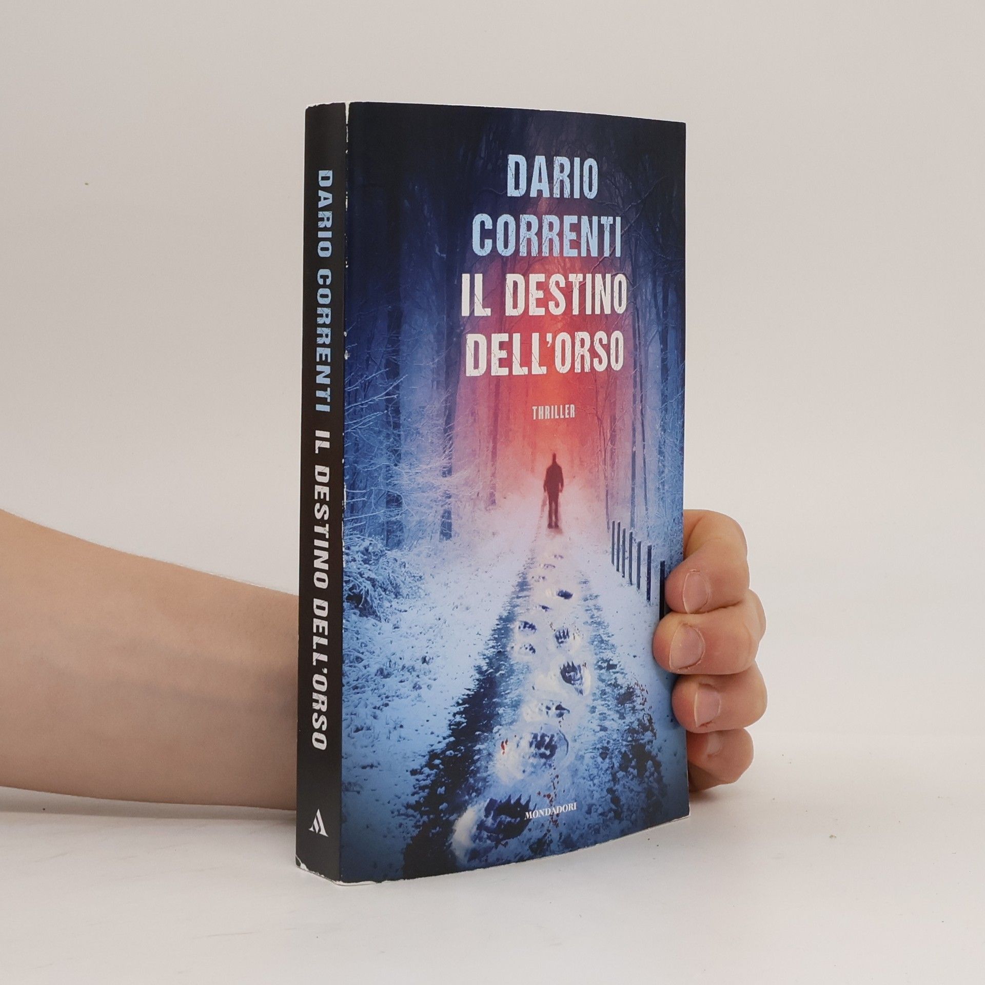 Dario Correnti Il destino dell'orso