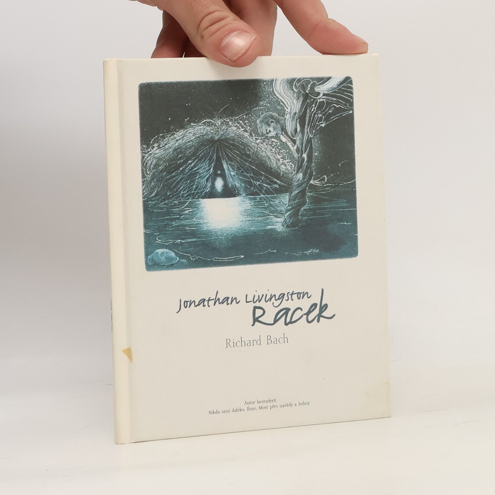 Richard Bach Jonathan Livingston: Racek