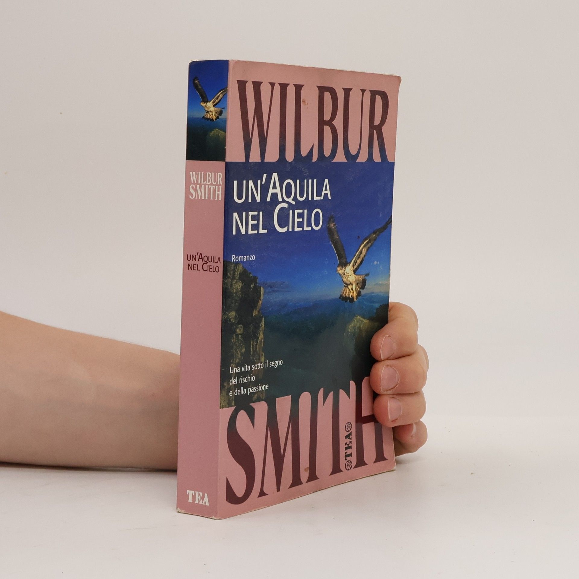 Wilbur Smith Un'aquila nel cielo