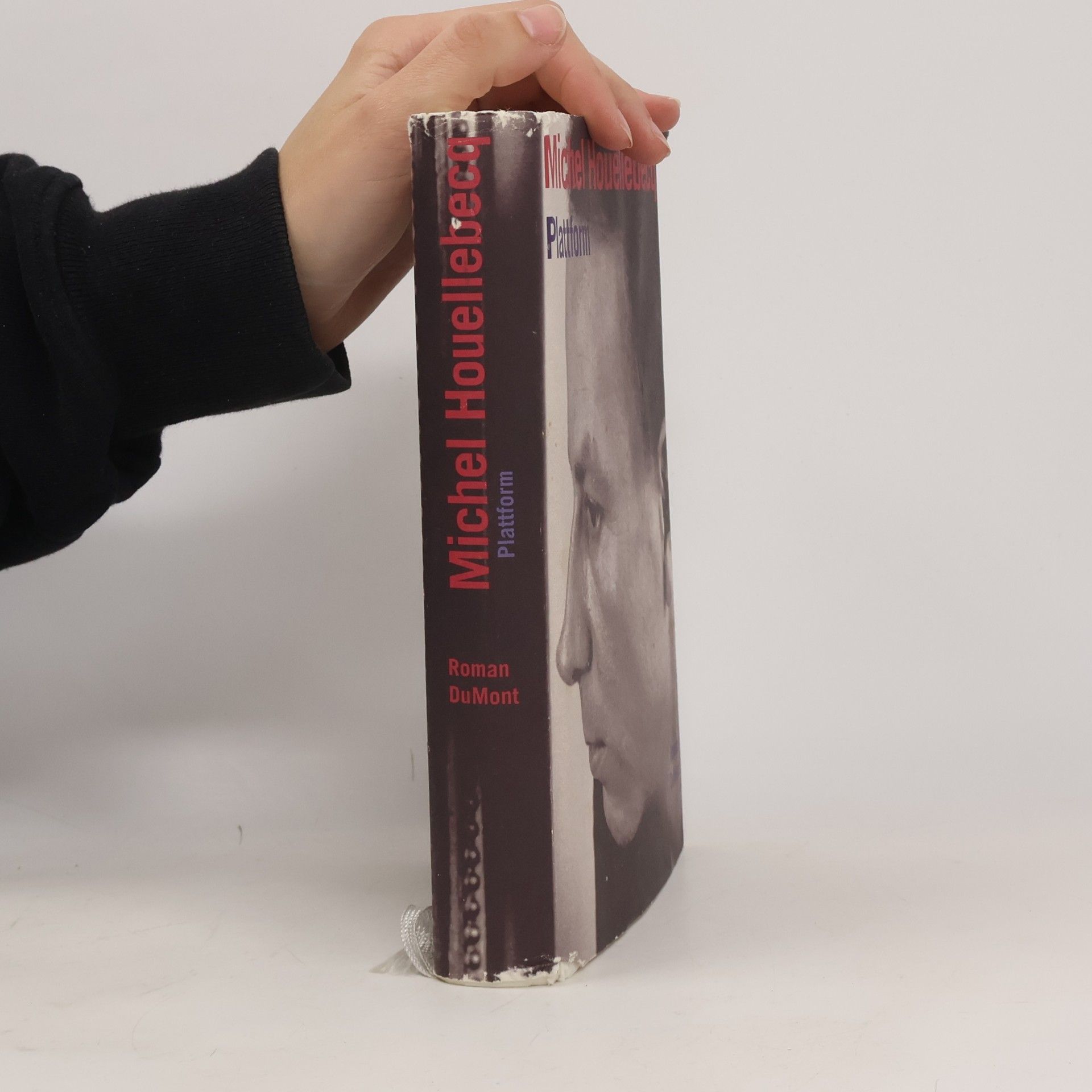 Michel Houellebecq Plattform
