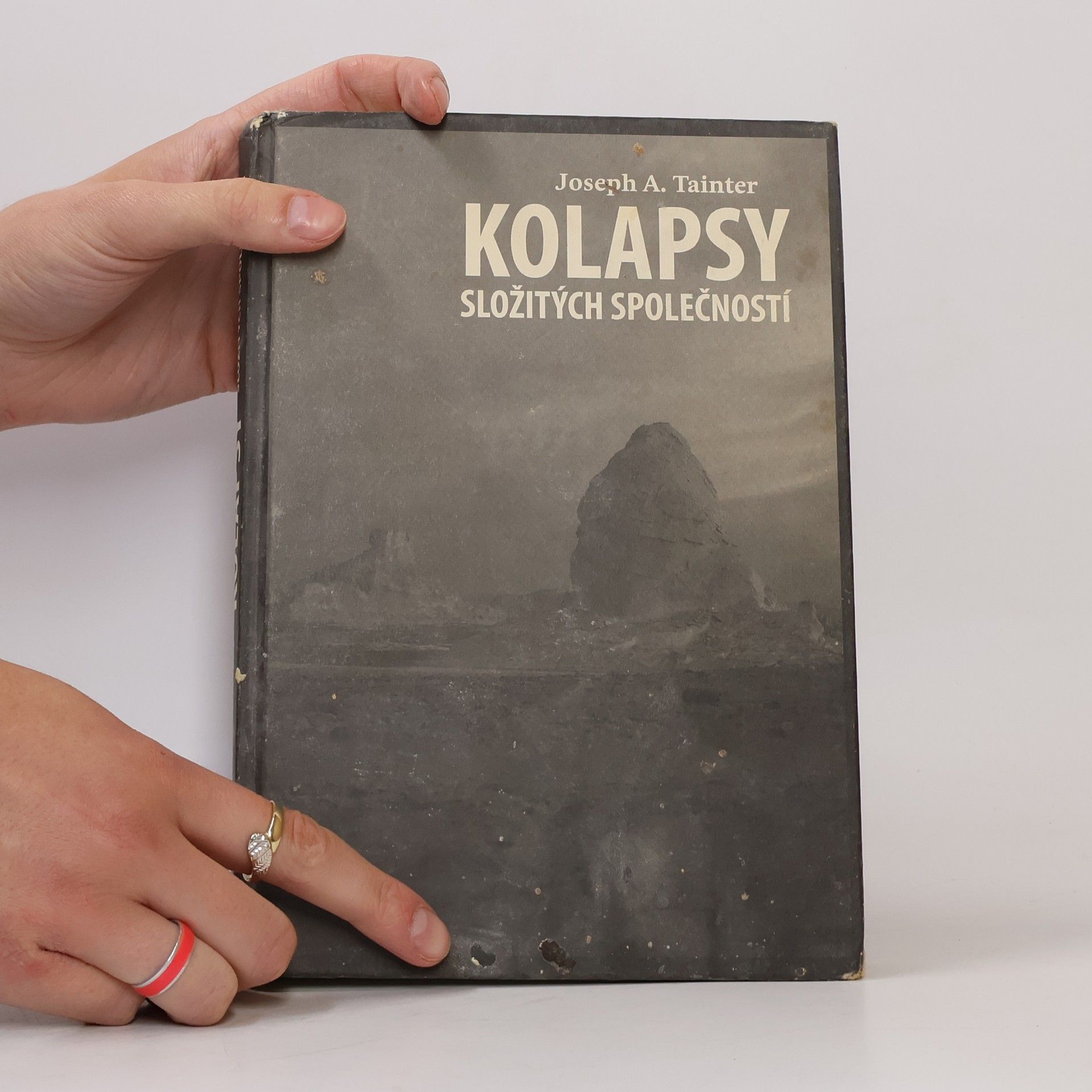Joseph A. Tainter Kolapsy složitých společností