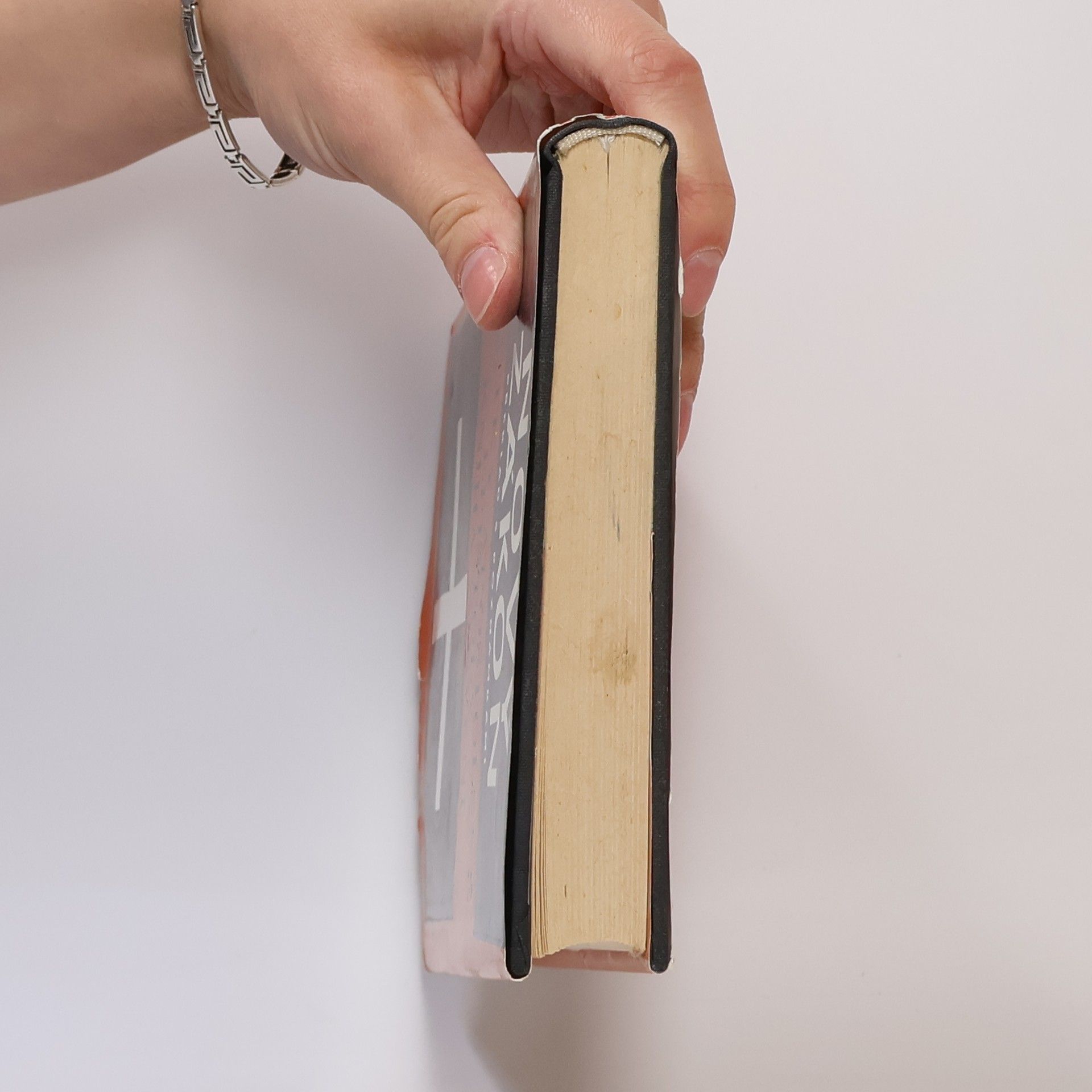 Autorenkollektiv Nový zákon 16. Překlad s poznámkami. Skutky apoštolské. Epištoly. Kniha zjevení