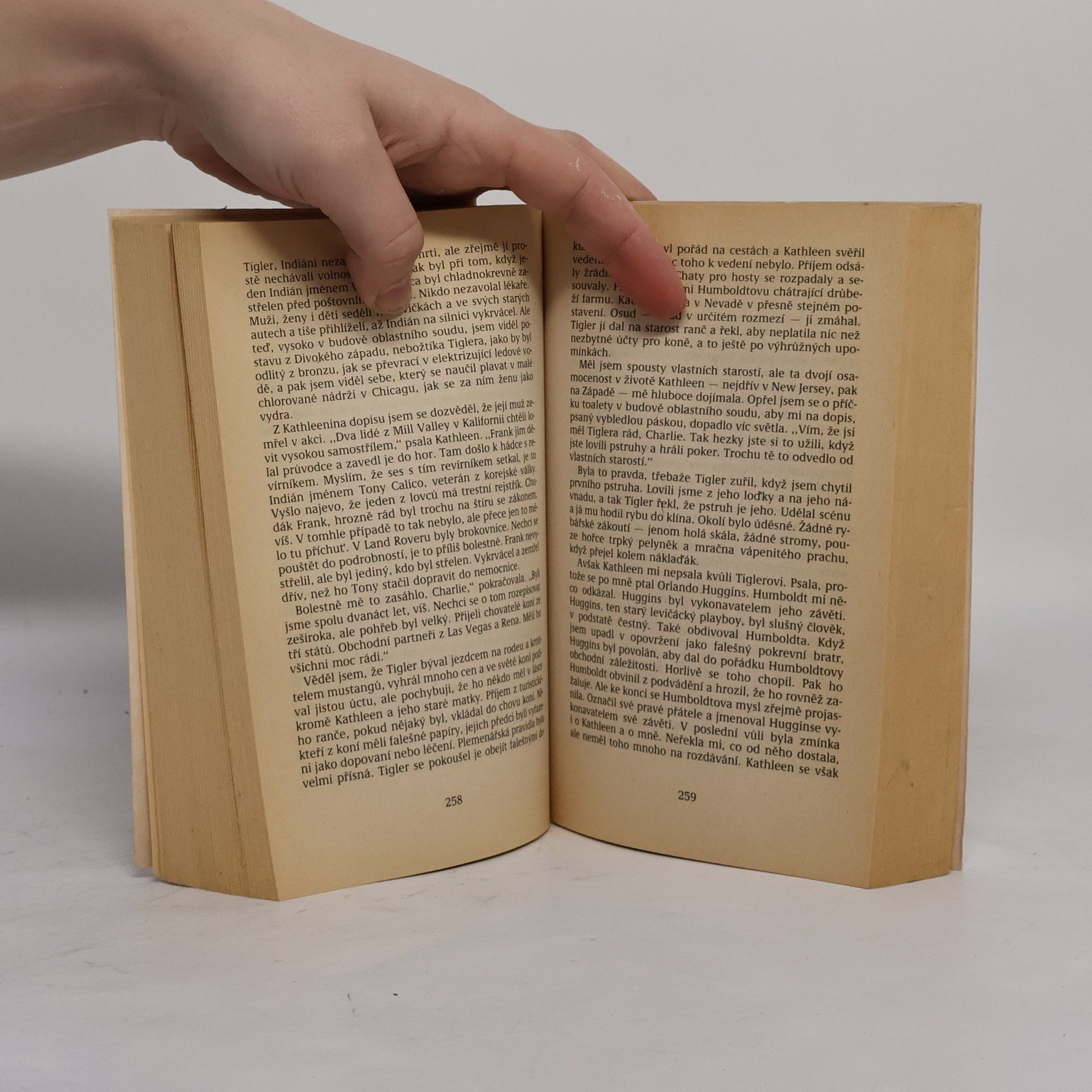 Saul Bellow Humboldtův dar
