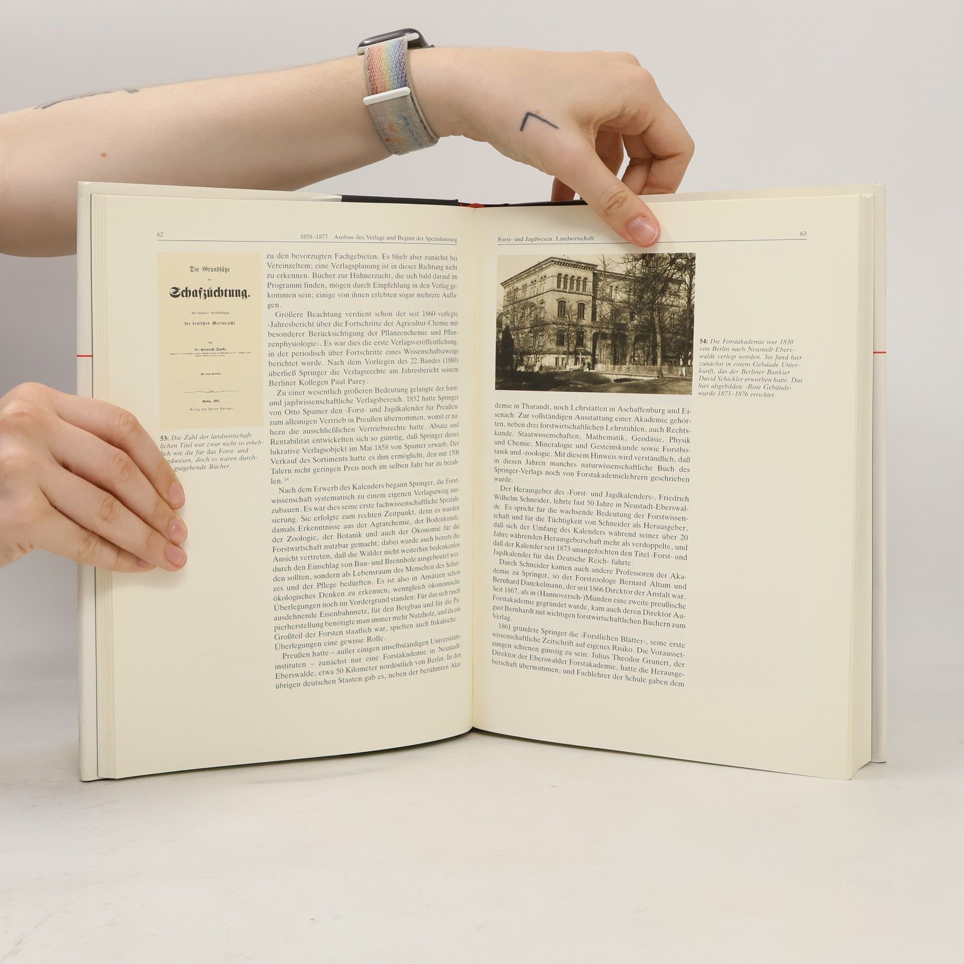 Heinz Sarkowski Der Springer-Verlag