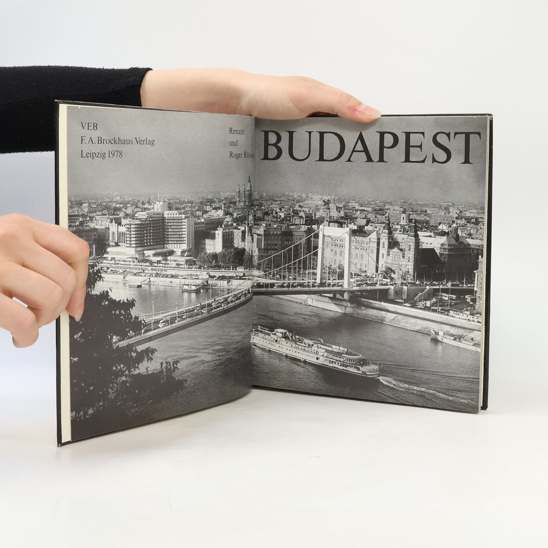 Roger Rössing Budapest