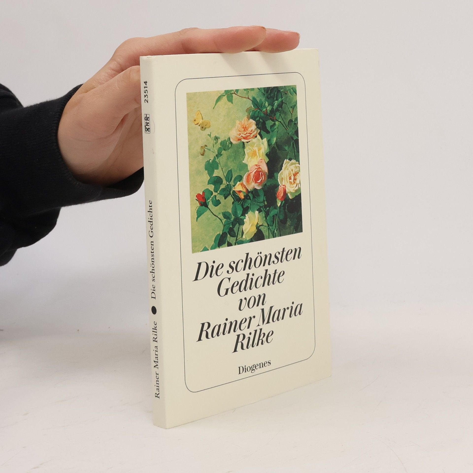Rainer Maria Rilke Die schönsten Gedichte