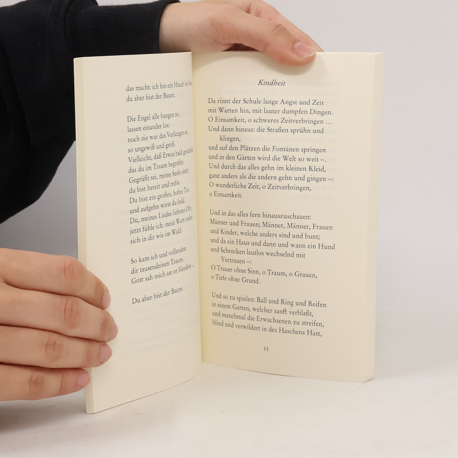 Rainer Maria Rilke Die schönsten Gedichte