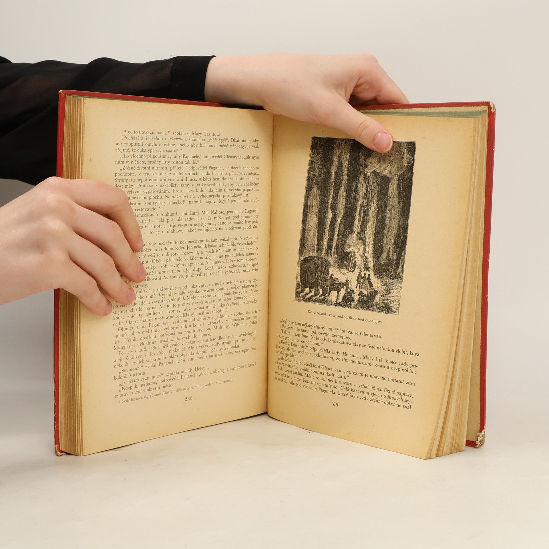 Jules Verne Děti kapitána Granta