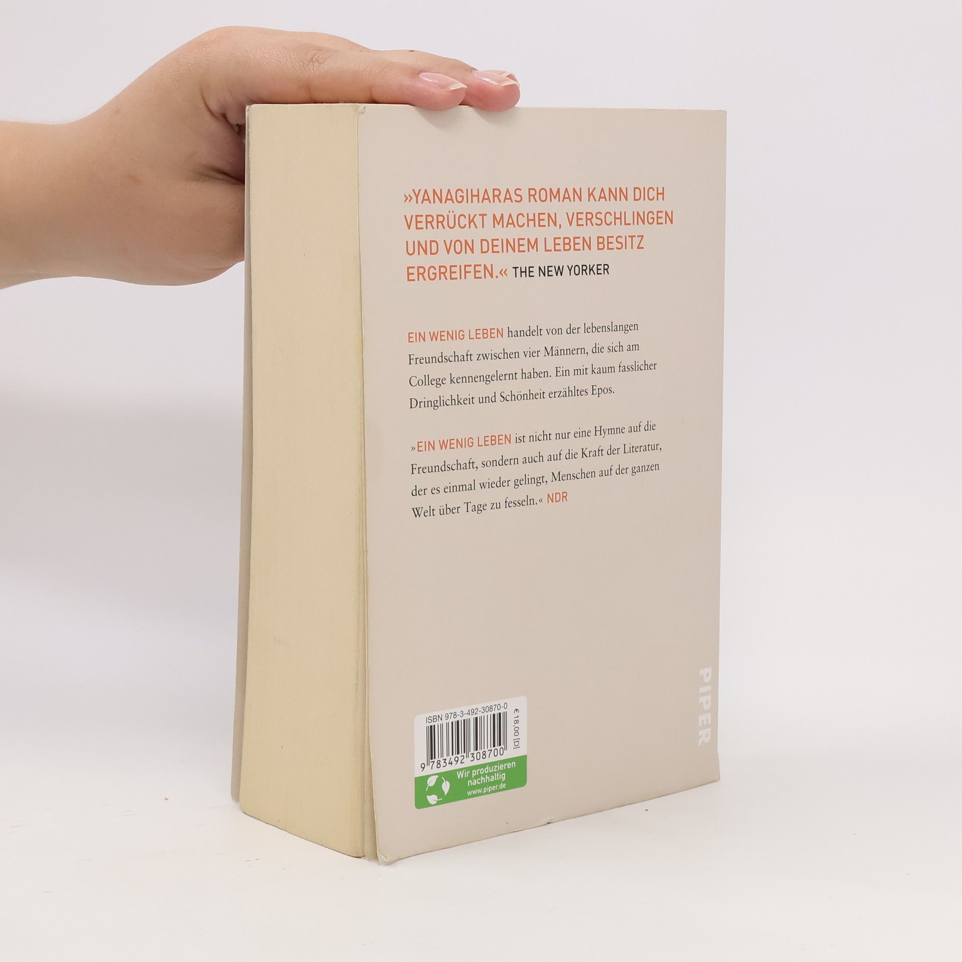 Hanya Yanagihara Ein wenig Leben