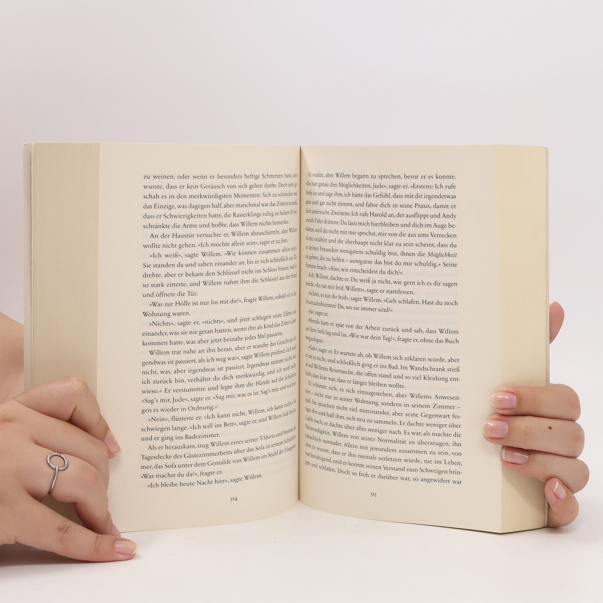 Hanya Yanagihara Ein wenig Leben