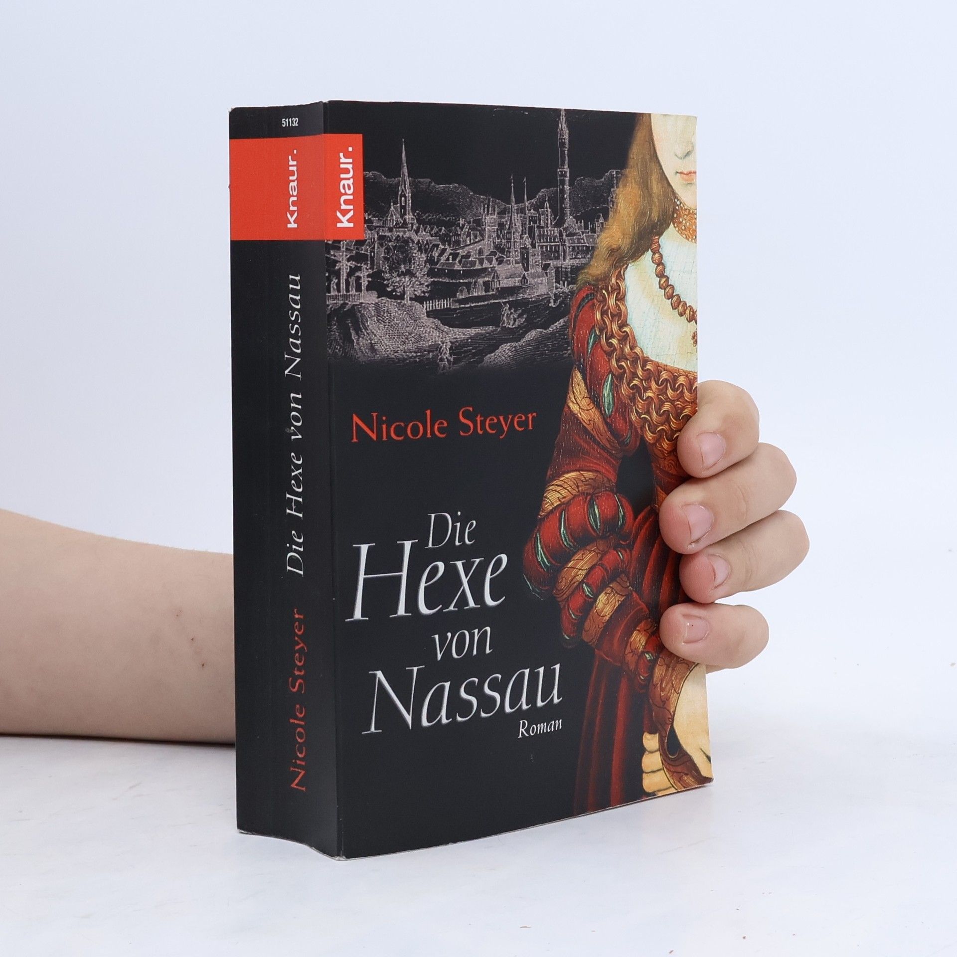 Nicole Steyer Die Hexe von Nassau