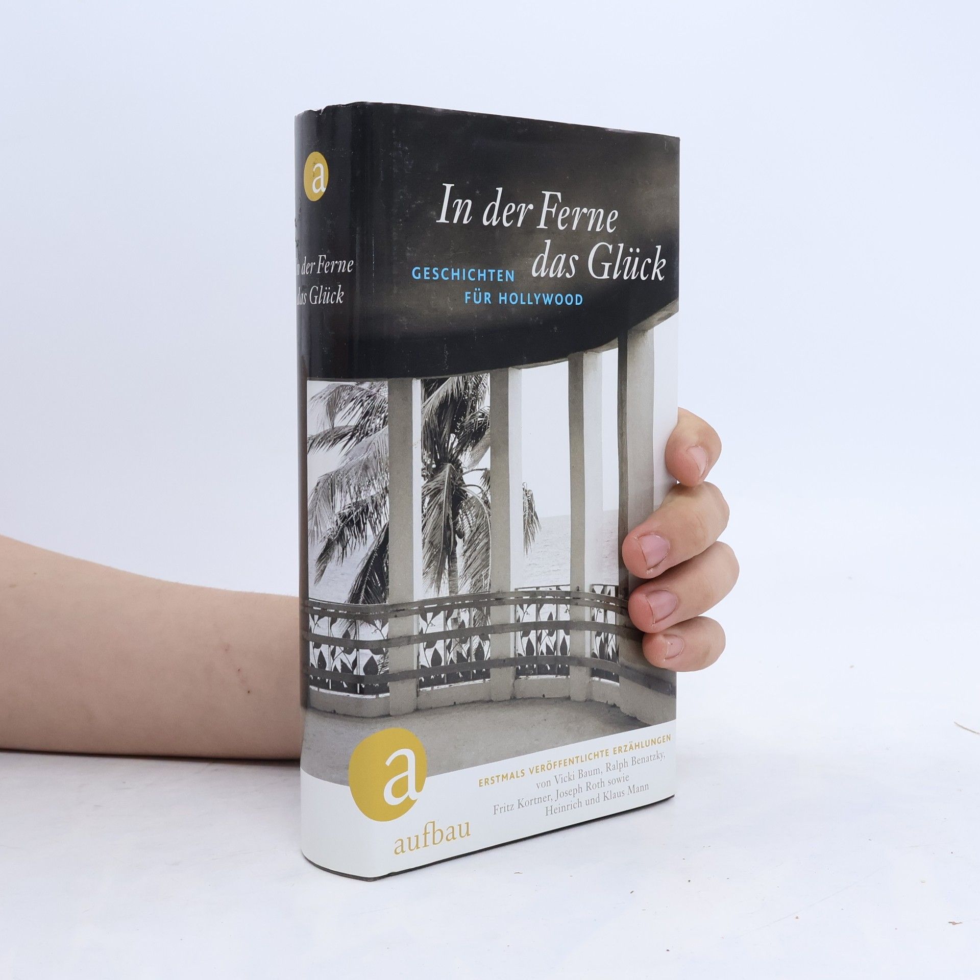 Autorenkollektiv In der Ferne das Glück
