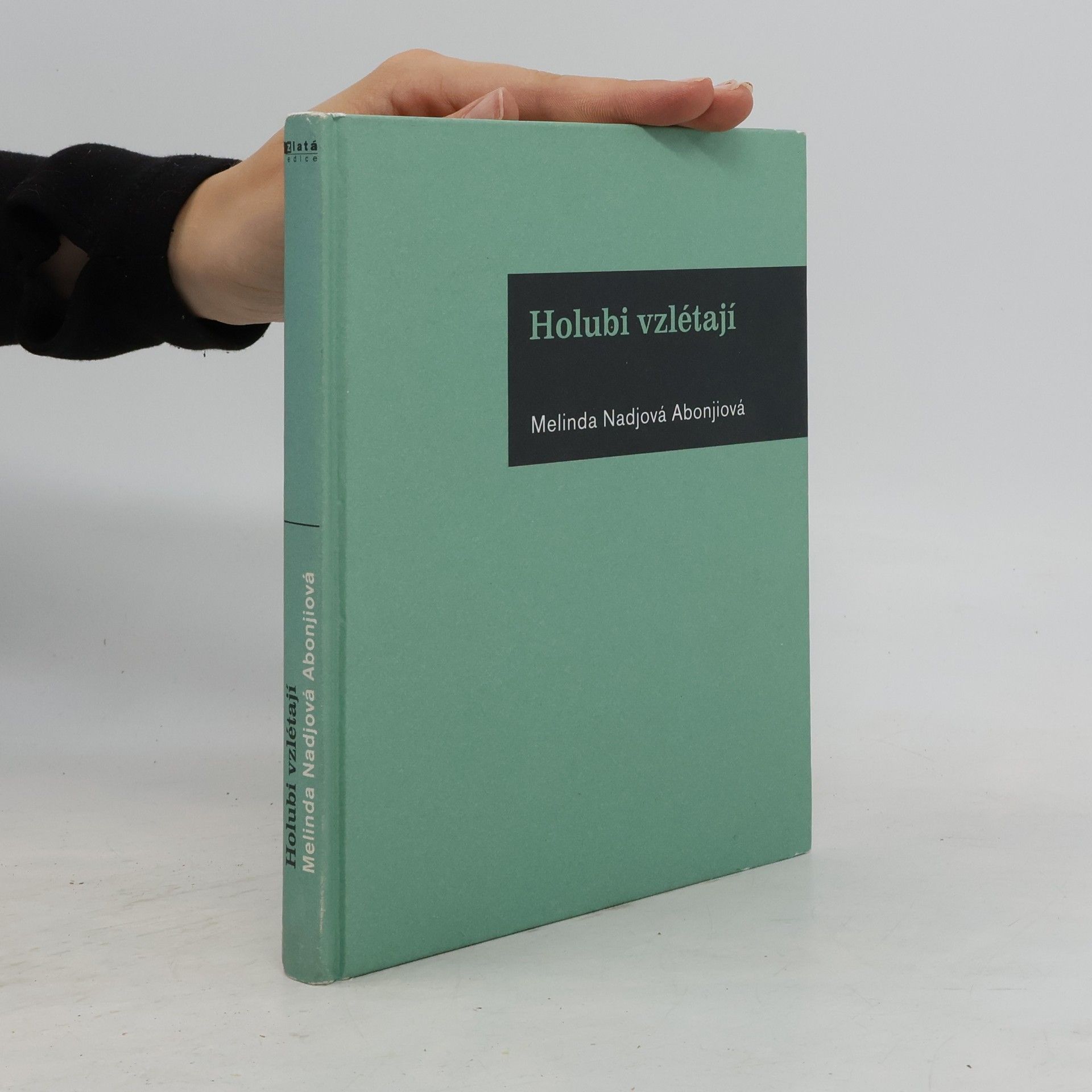 Melinda Nadj Abonji Holubi vzlétají
