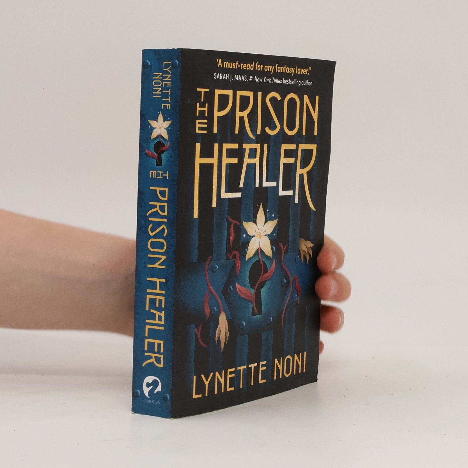 Lynette Noni The Prison Healer