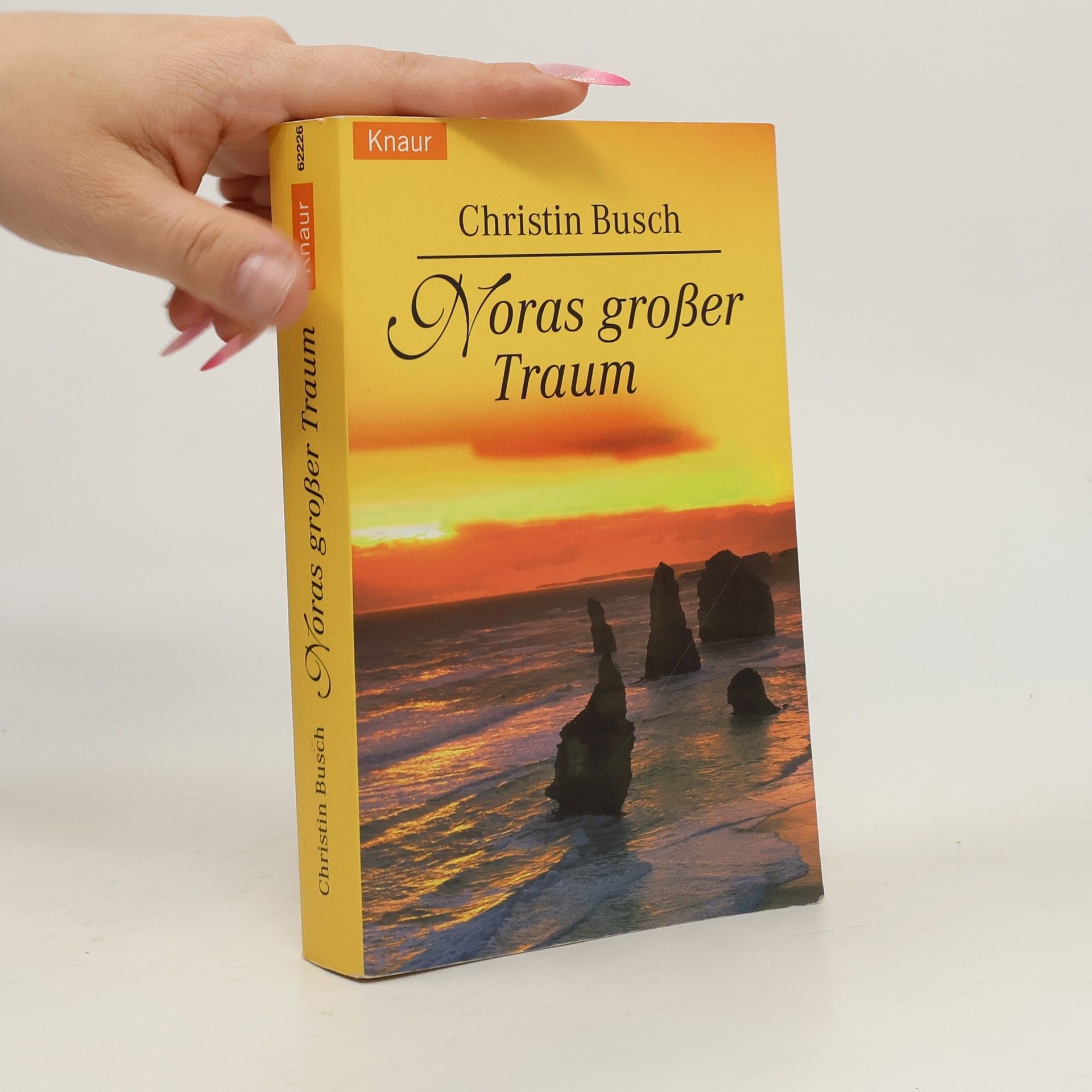 Christin Busch Noras großer Traum