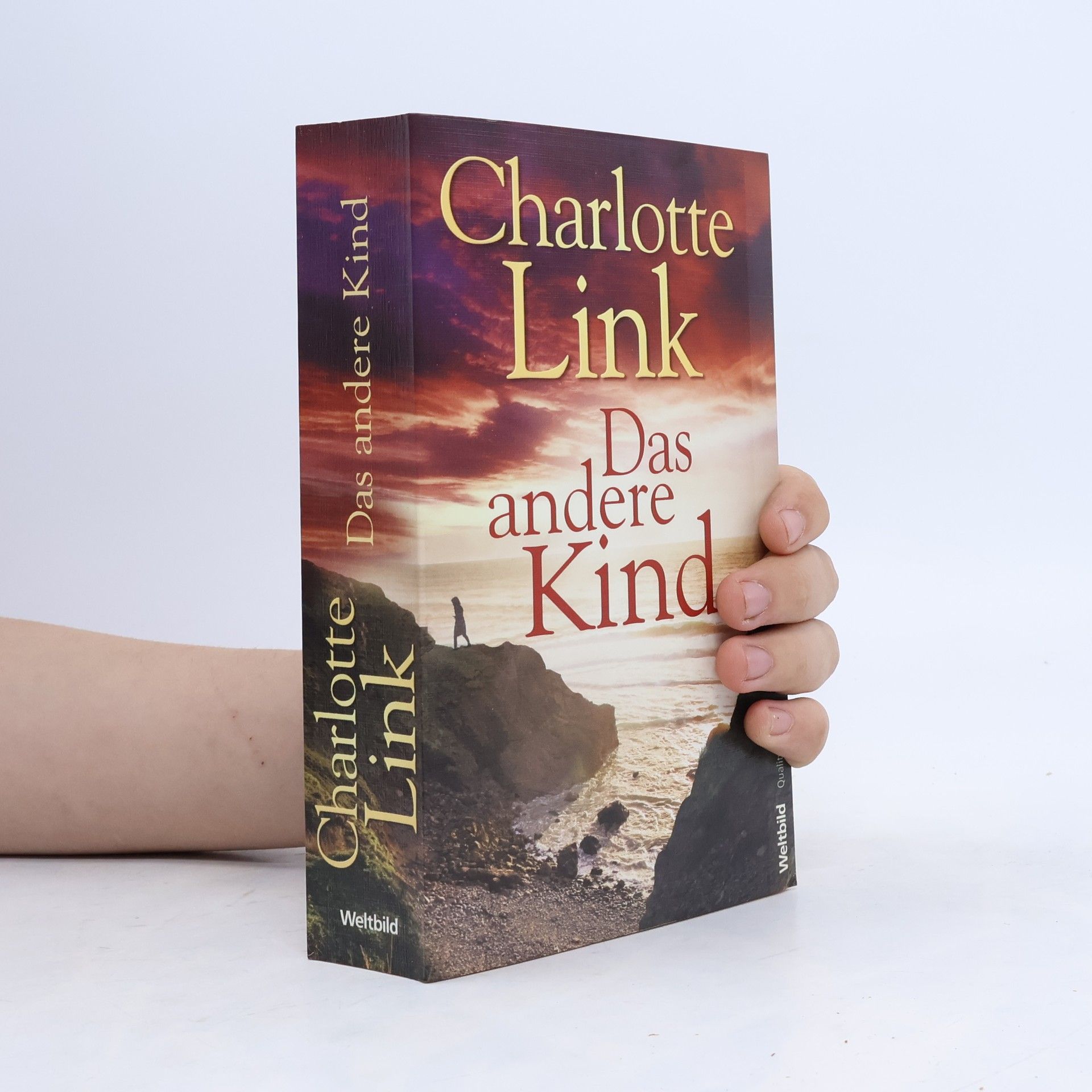 Charlotte Link Das andere Kind