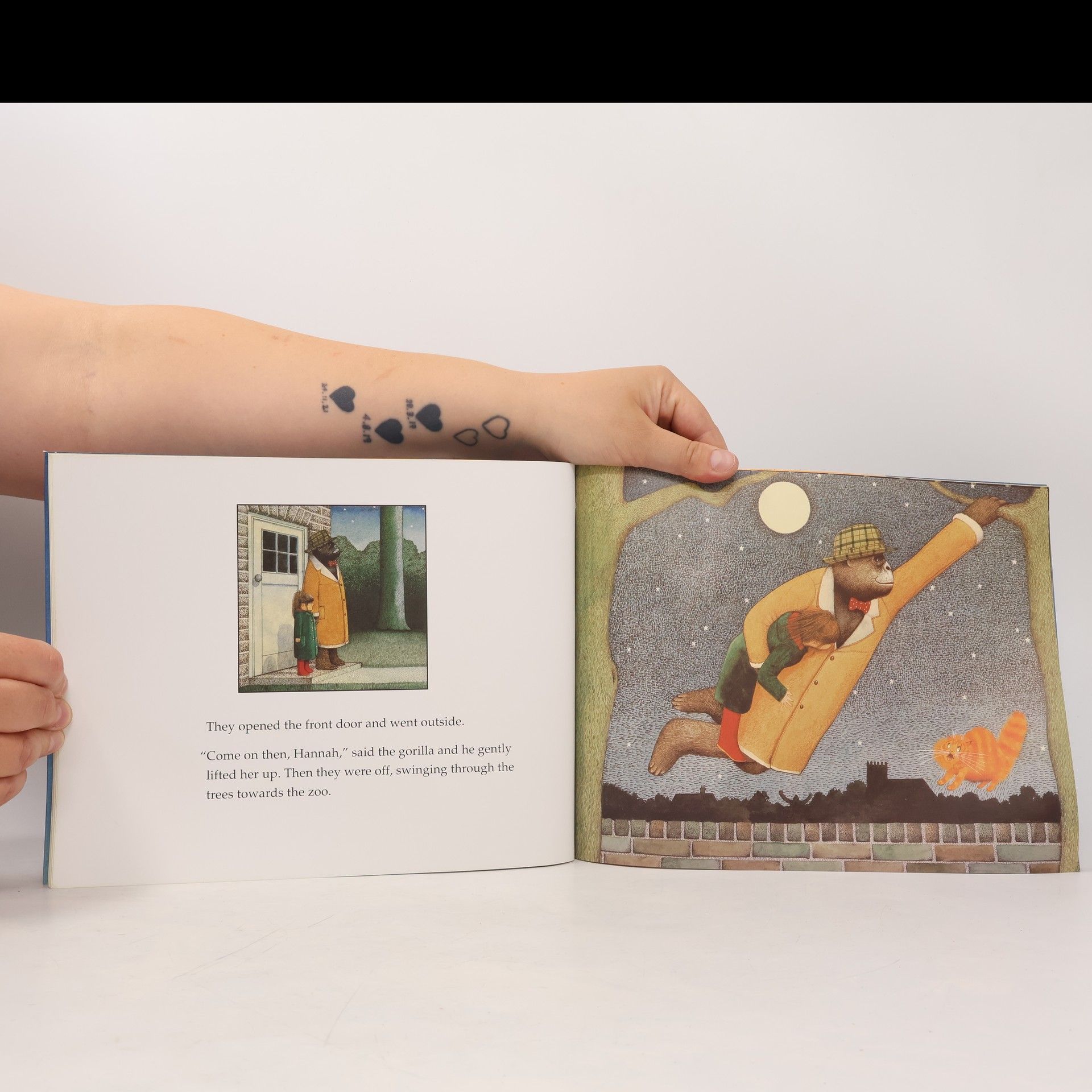 Anthony Browne Gorilla