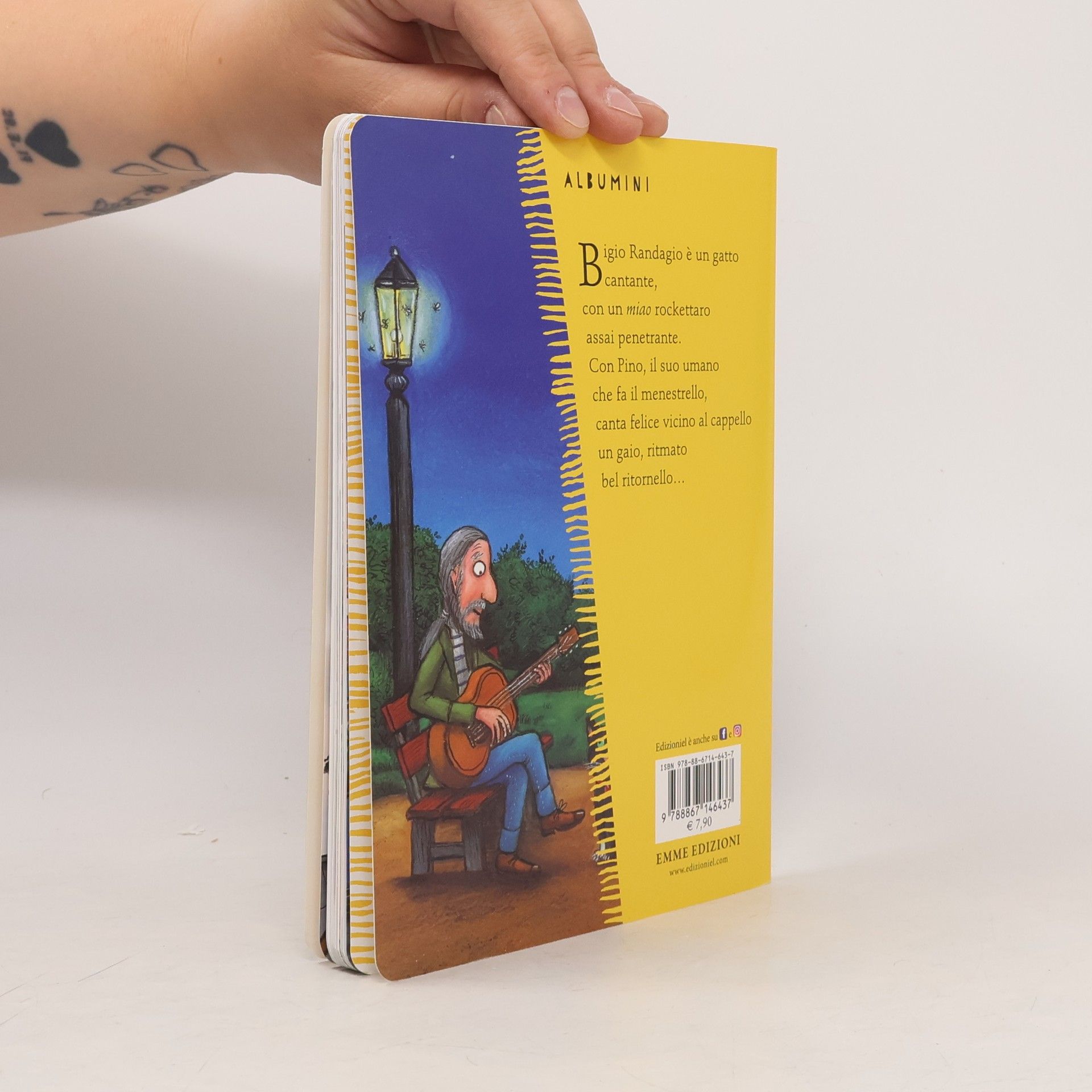 Julia Donaldson Albumini: Bigio Randagio. Ediz. a colori