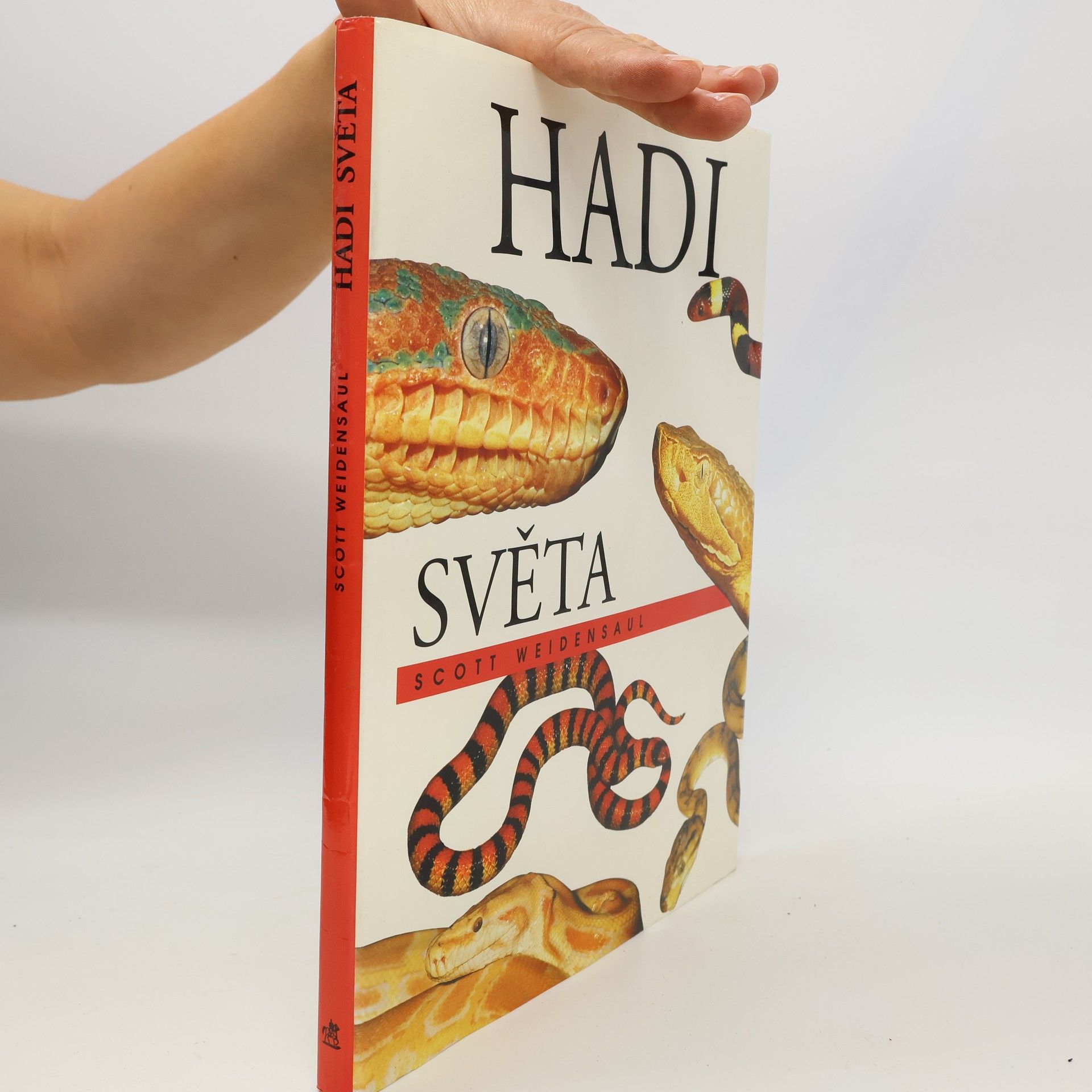 Hadi světa