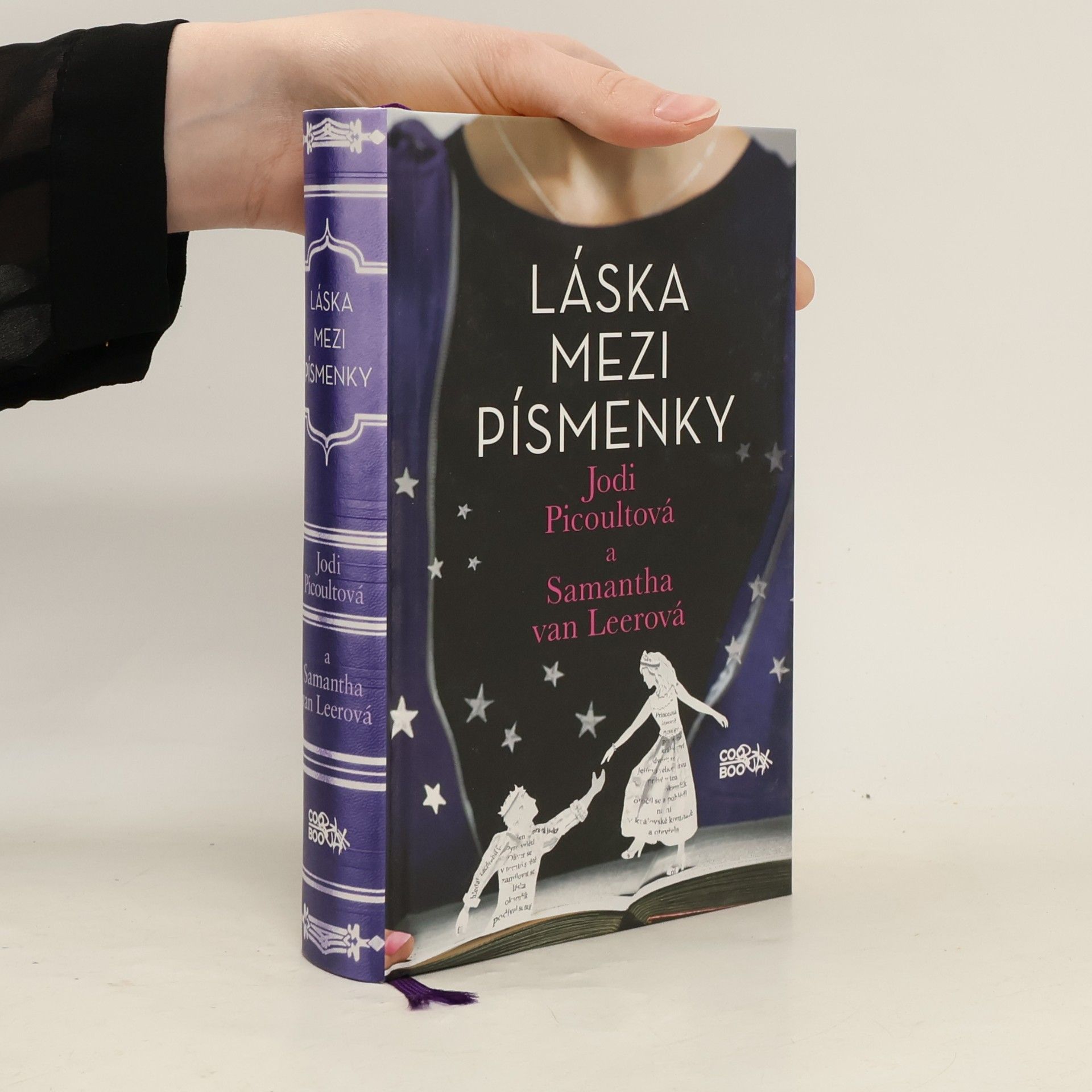 Jodi Picoult Láska mezi písmenky