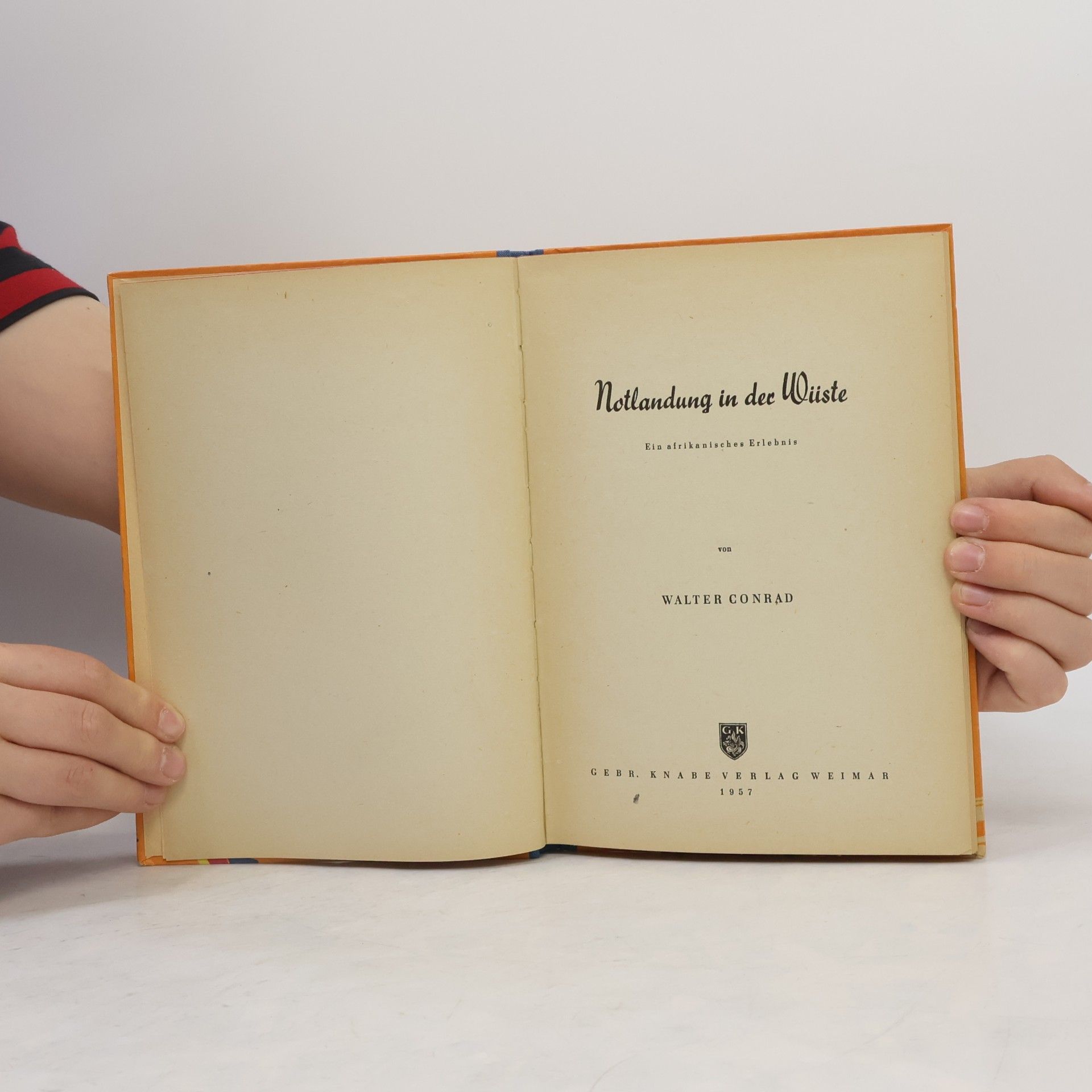 Walter Conrad Notlandung in der Wüste