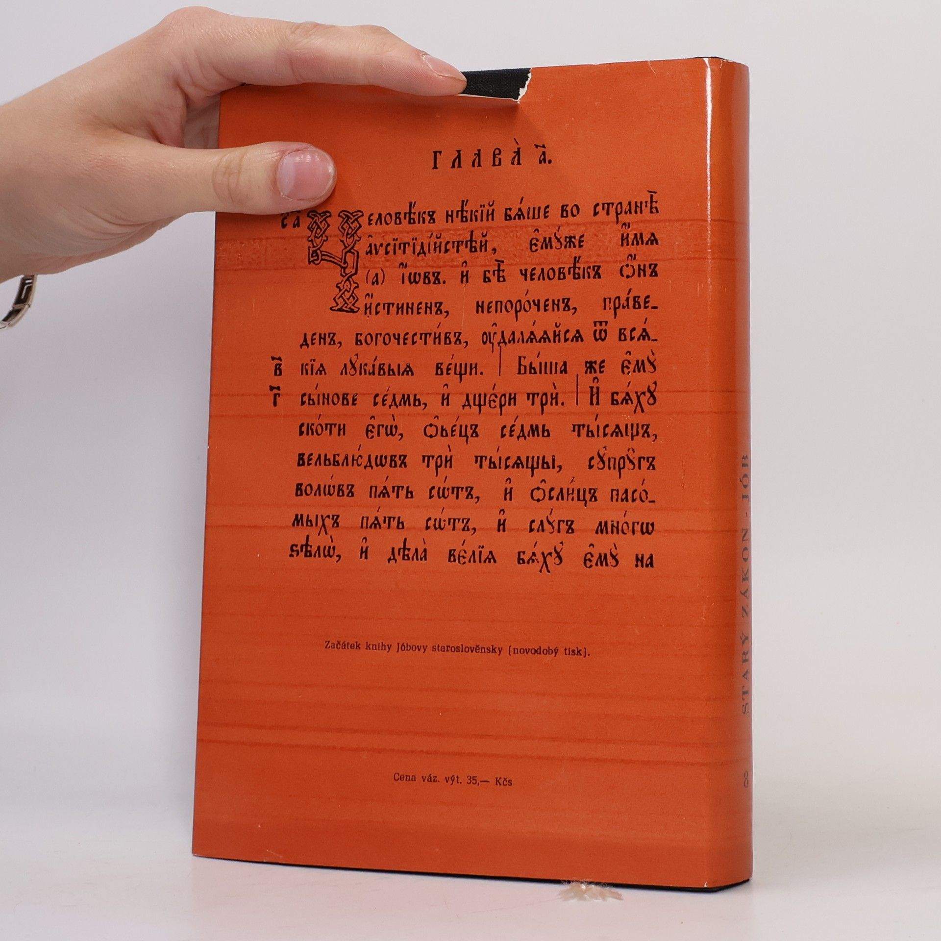 Autorenkollektiv Starý zákon: Překlad s výkladem - 8. Jób