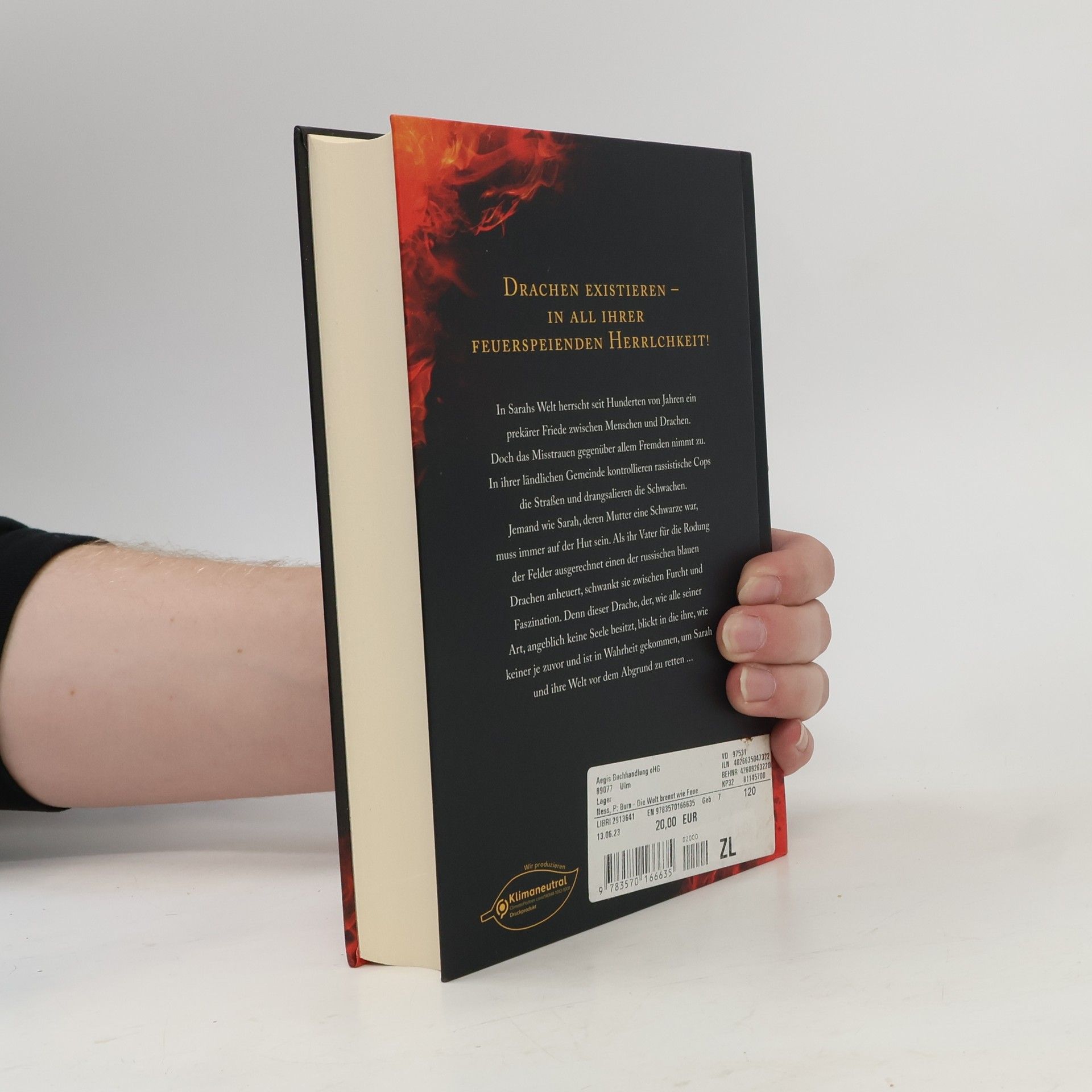 Patrick Ness Burn