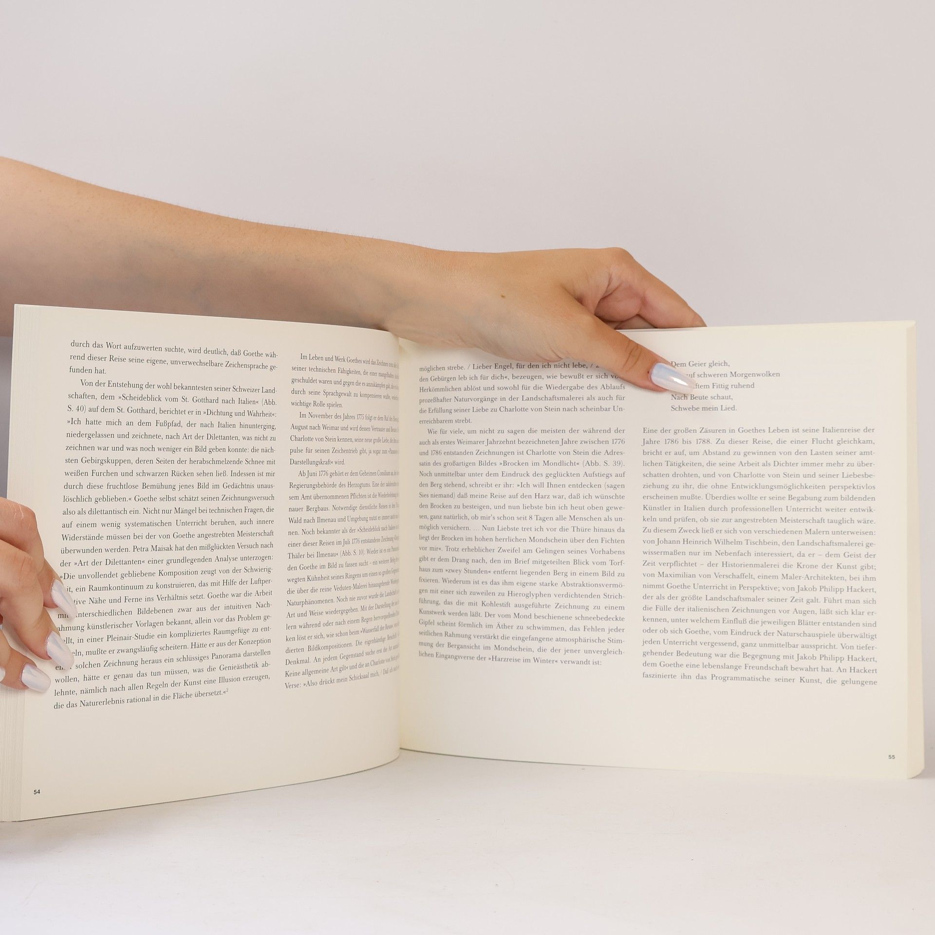 Kai Artinger Diesseits und jenseits von Arkadien, Goethe und Grass als Landschaftszeichner