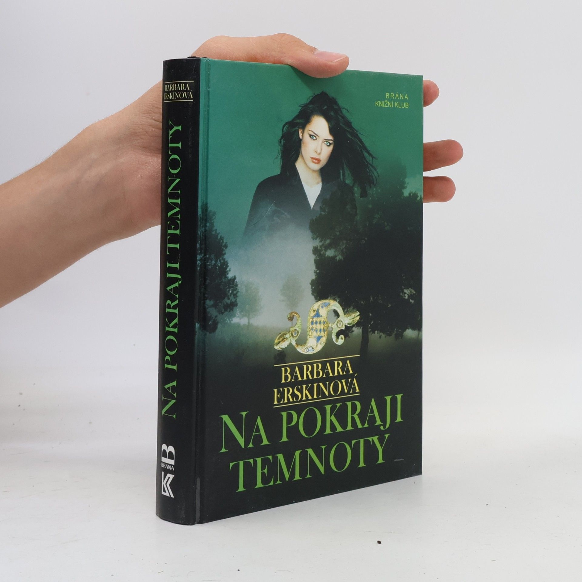 Barbara Erskinová Na pokraji temnoty