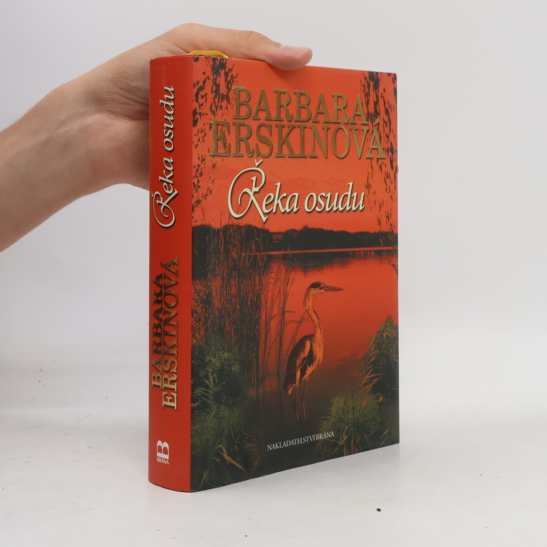 Barbara Erskinová Řeka osudu