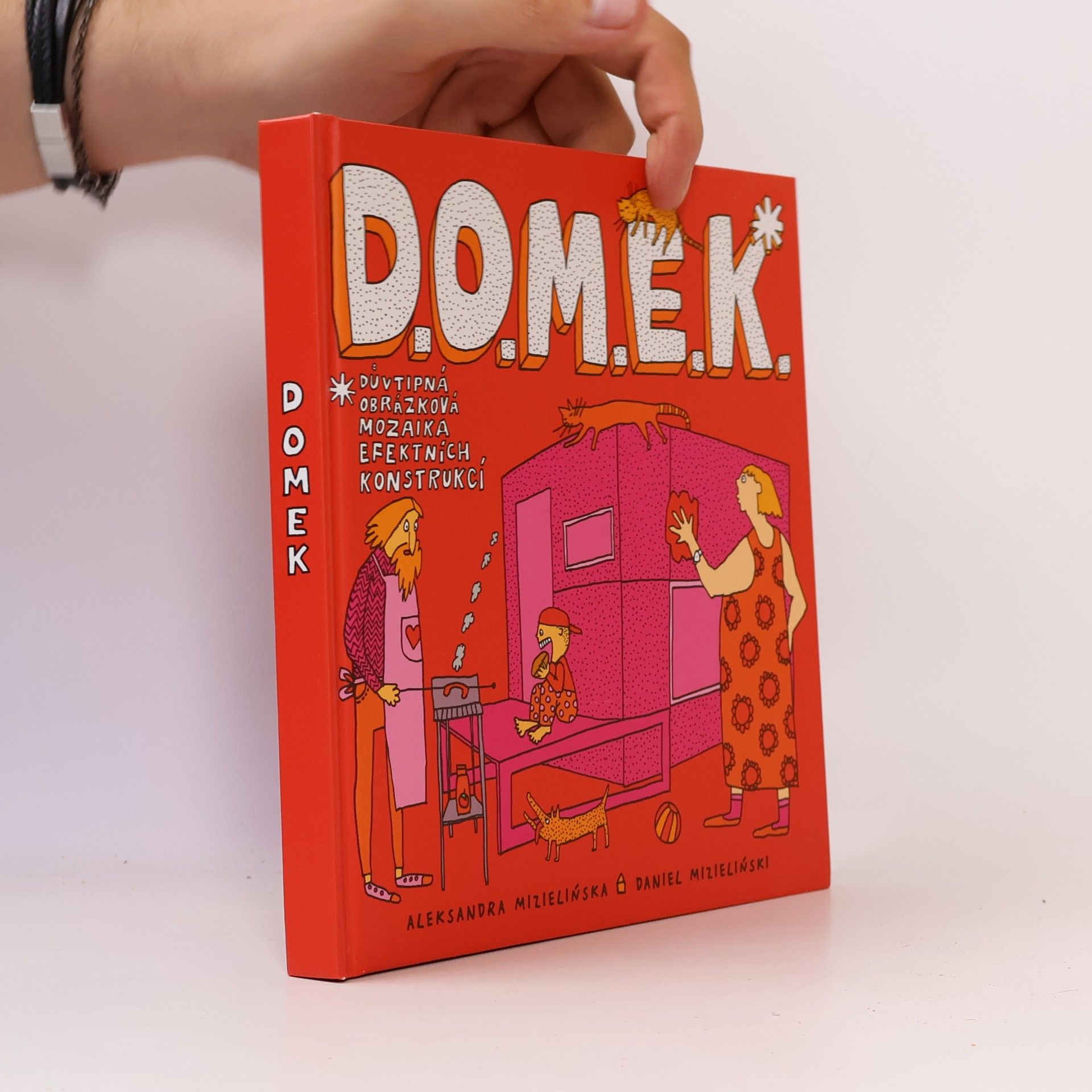 Aleksandra Mizielińska D.O.M.E.K. DOMEK. Důvtipná obrázková mozaika efektních konstrukcí