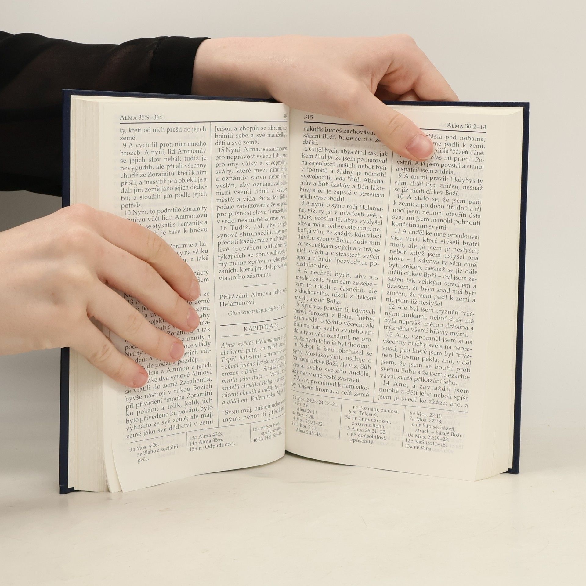 Various authors Kniha Mormonova. Další svědectví o Ježíši Kristu