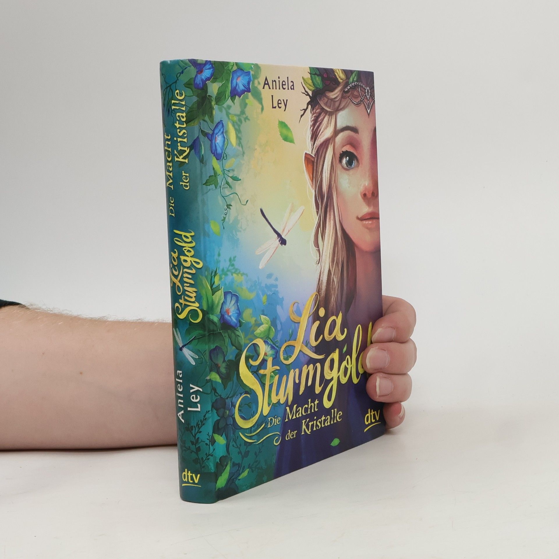 Aniela Ley Lia Sturmgold - Die Macht der Kristalle