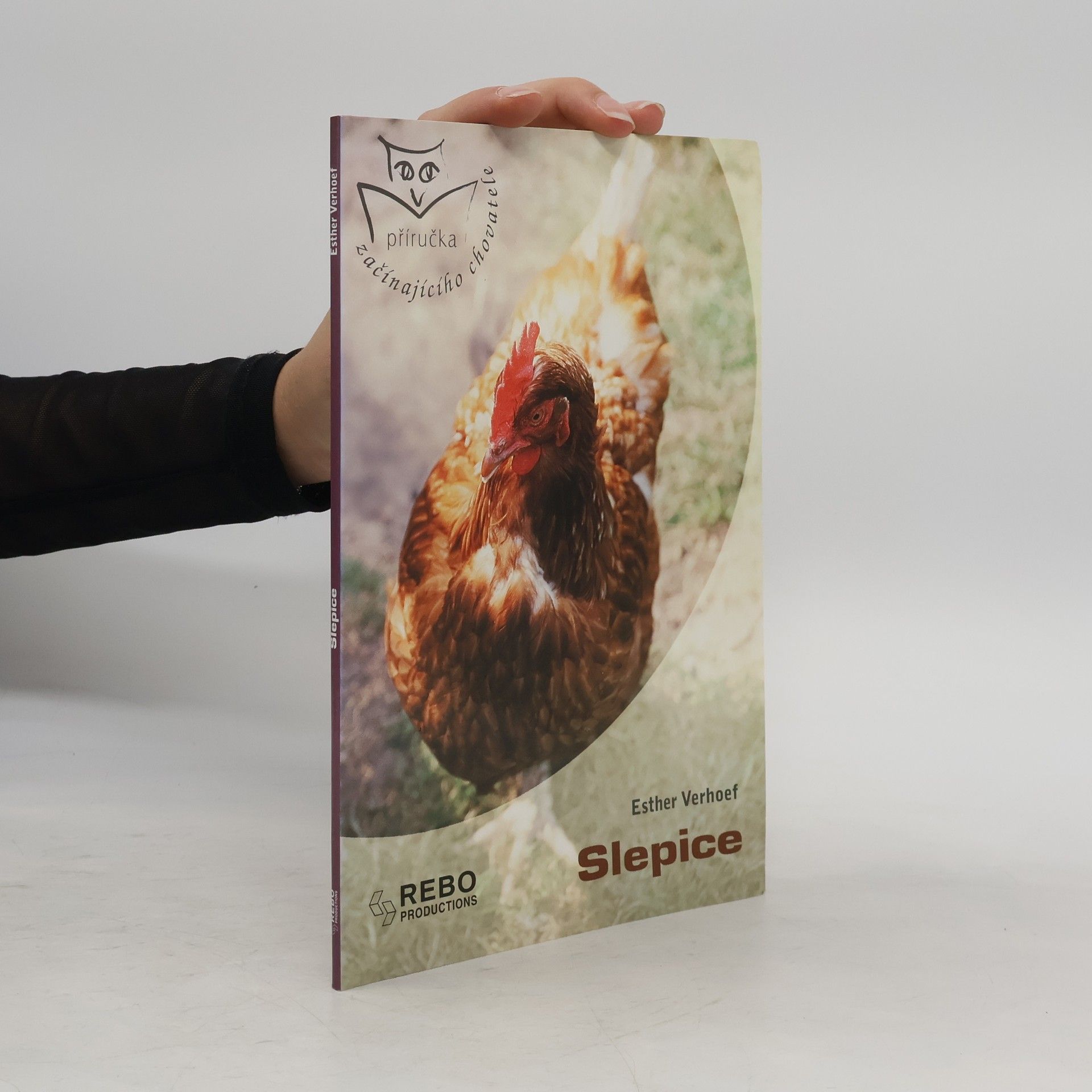 Slepice