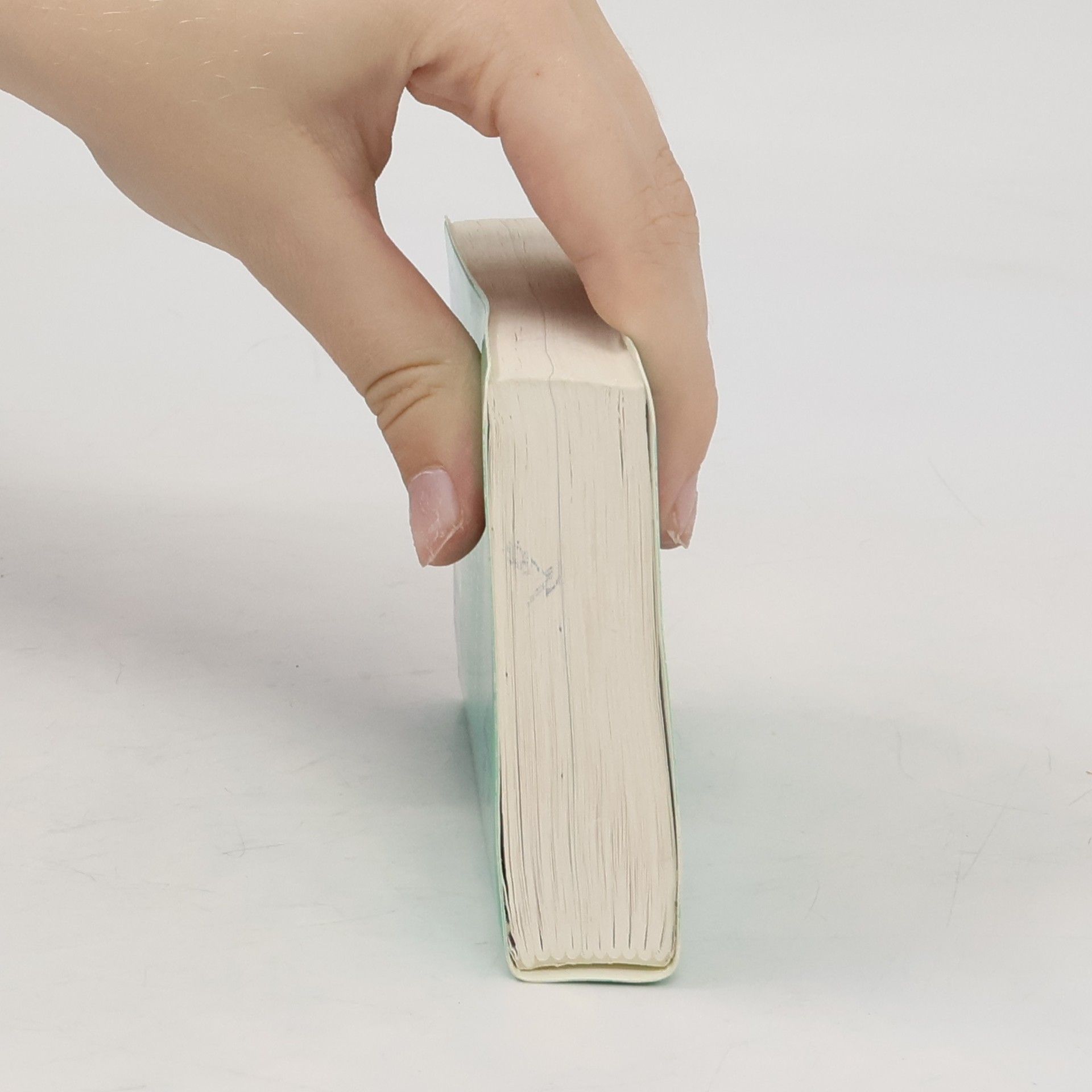 Rita Hau PONS Praxiswörterbuch