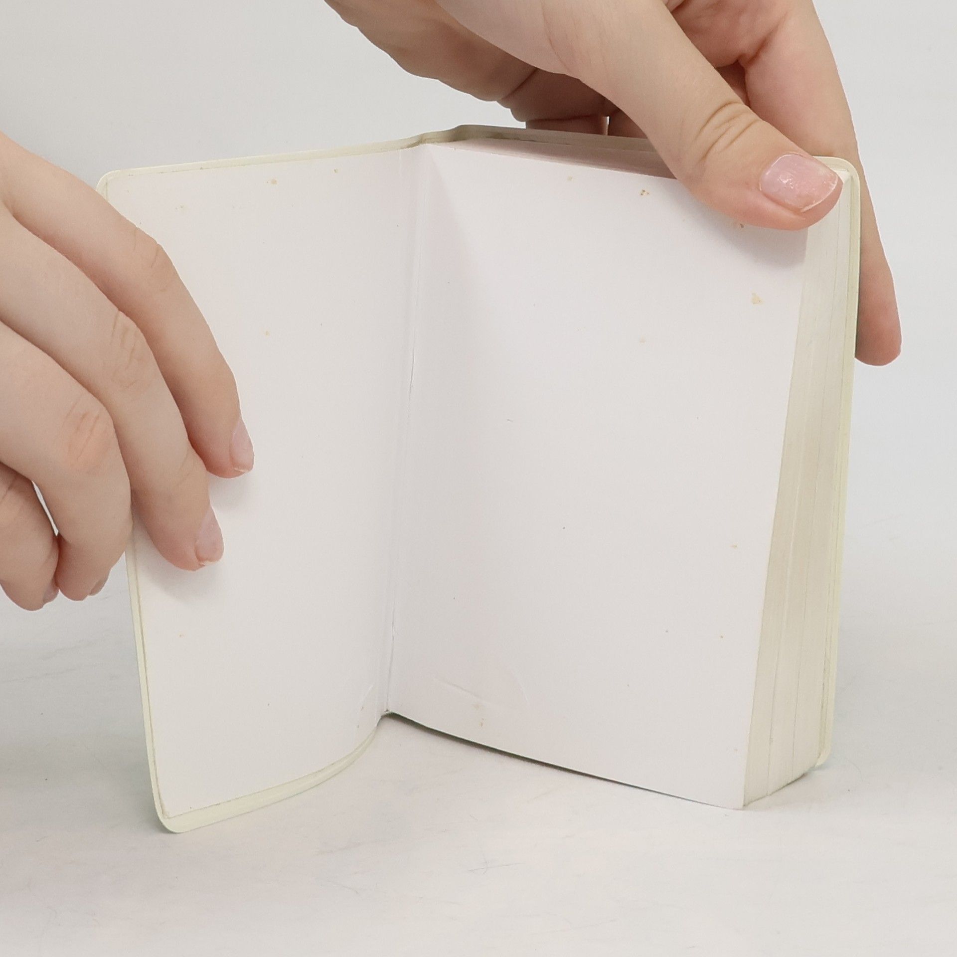 Rita Hau PONS Praxiswörterbuch
