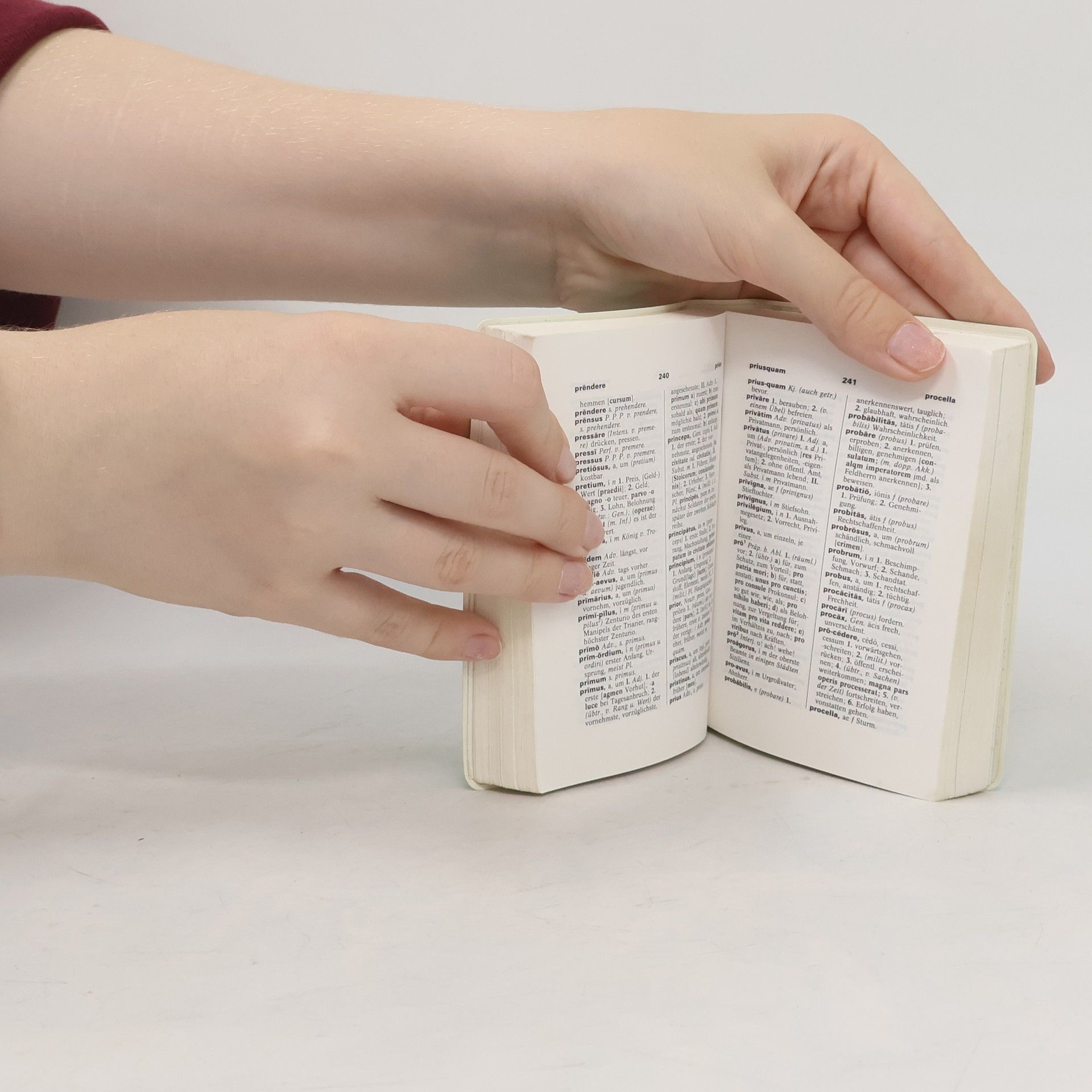 Rita Hau PONS Praxiswörterbuch