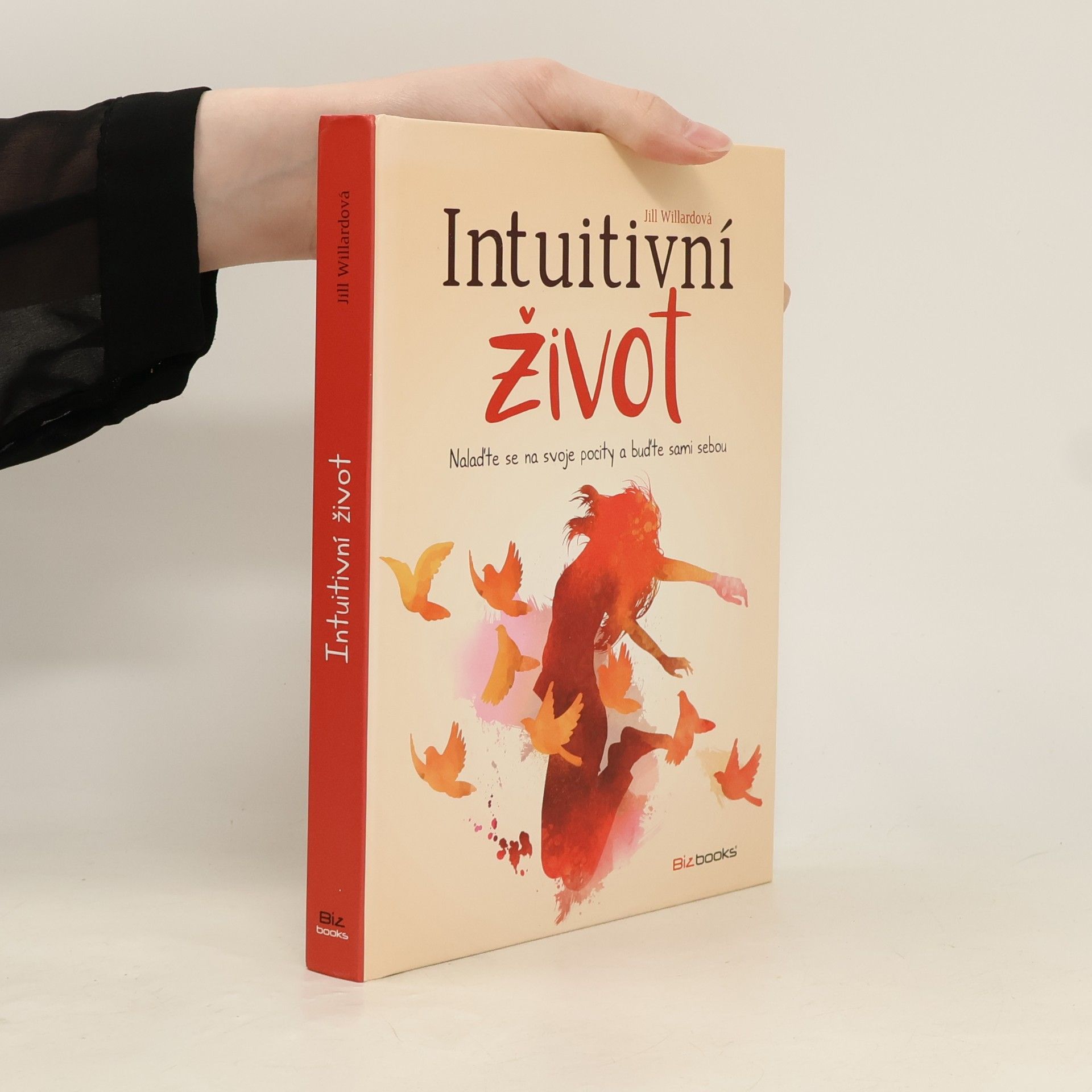 Jill Willard Intuitivní život: Nalaďte se na svou intuici a buďte sami sebou