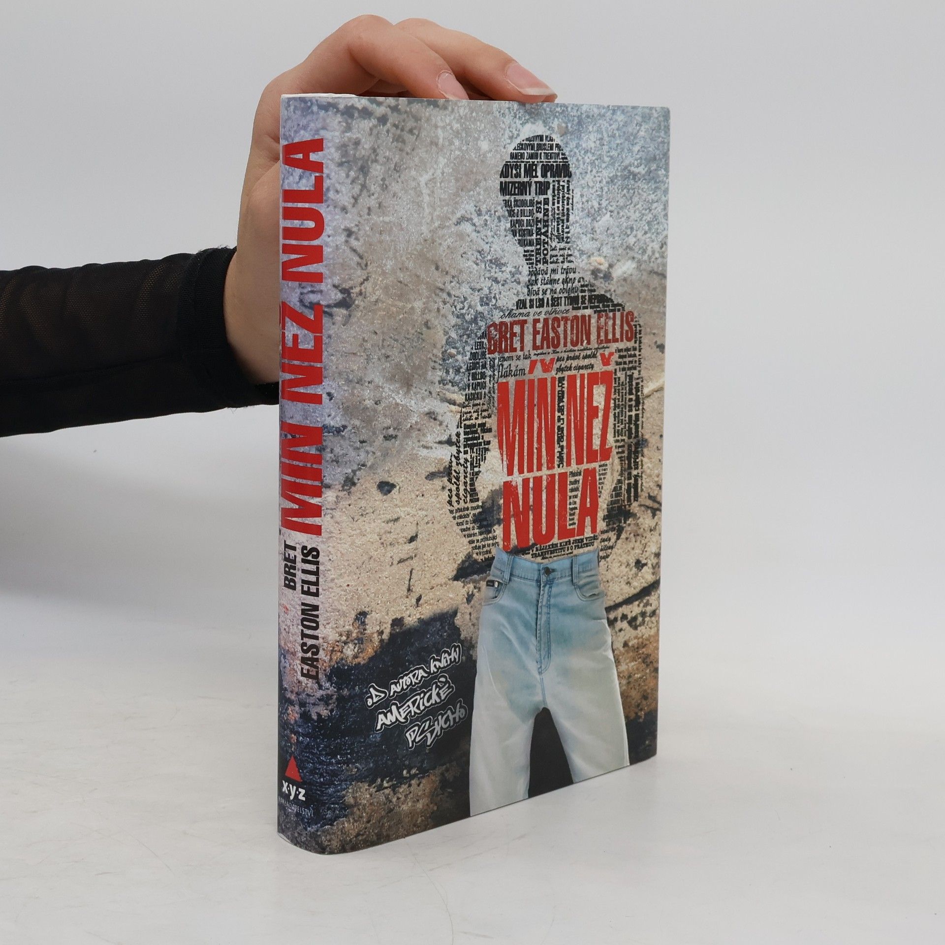 Bret Easton Ellis Míň než nula