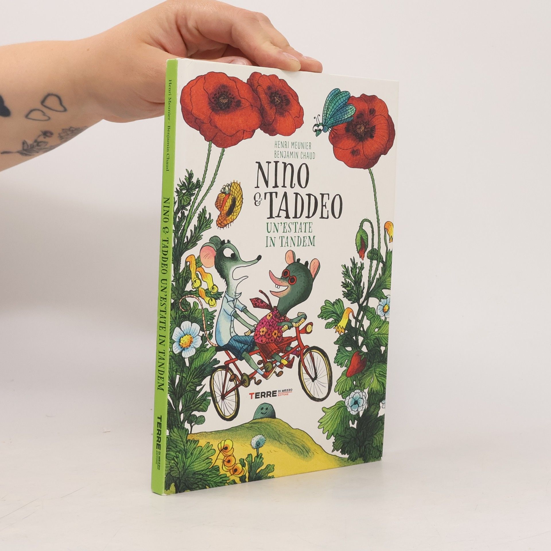 Acchiappastorie: Un'estate in tandem. Nino & Taddeo. Ediz. a colori