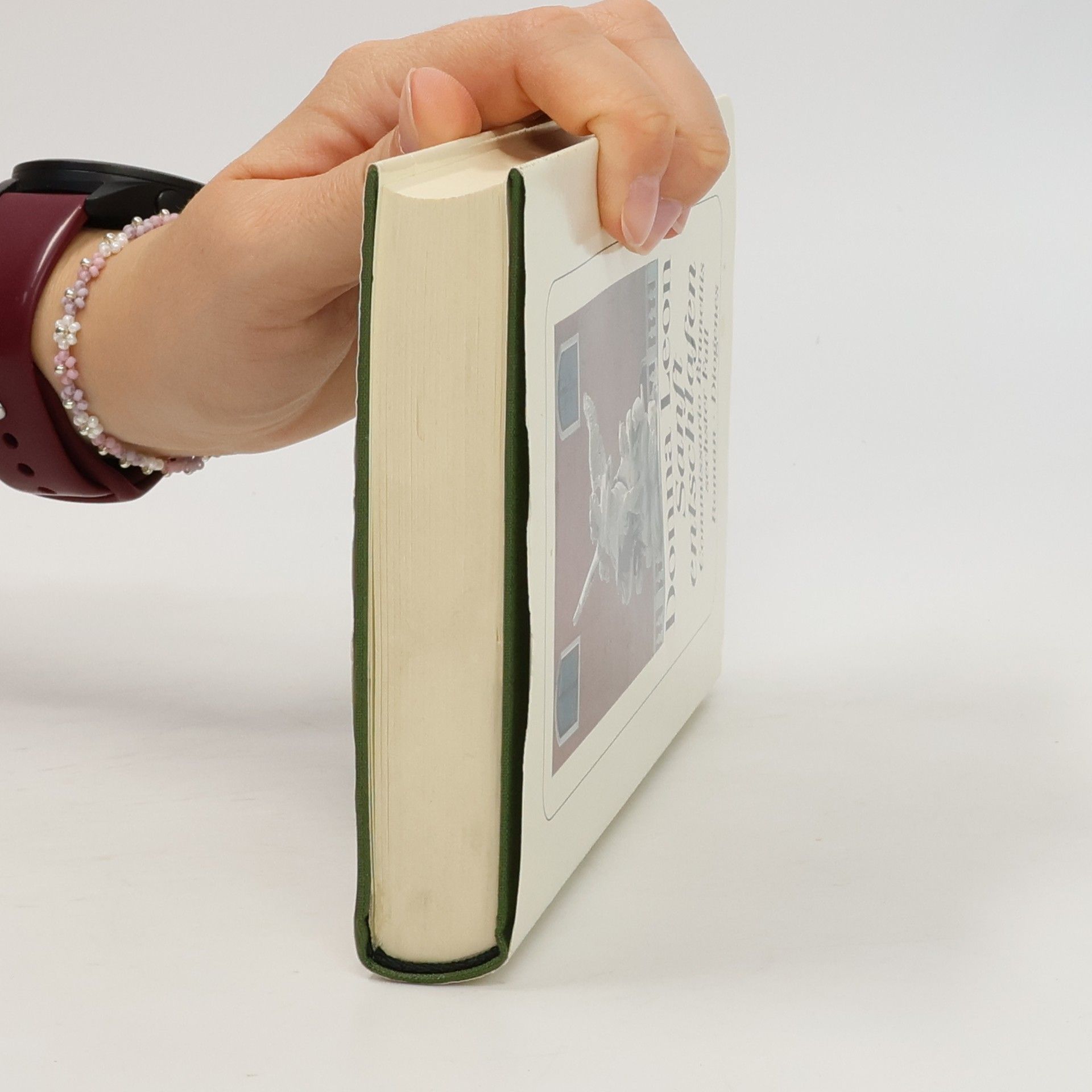 Donna Leon Sanft entschlafen. Commissario Brunettis sechster Fall