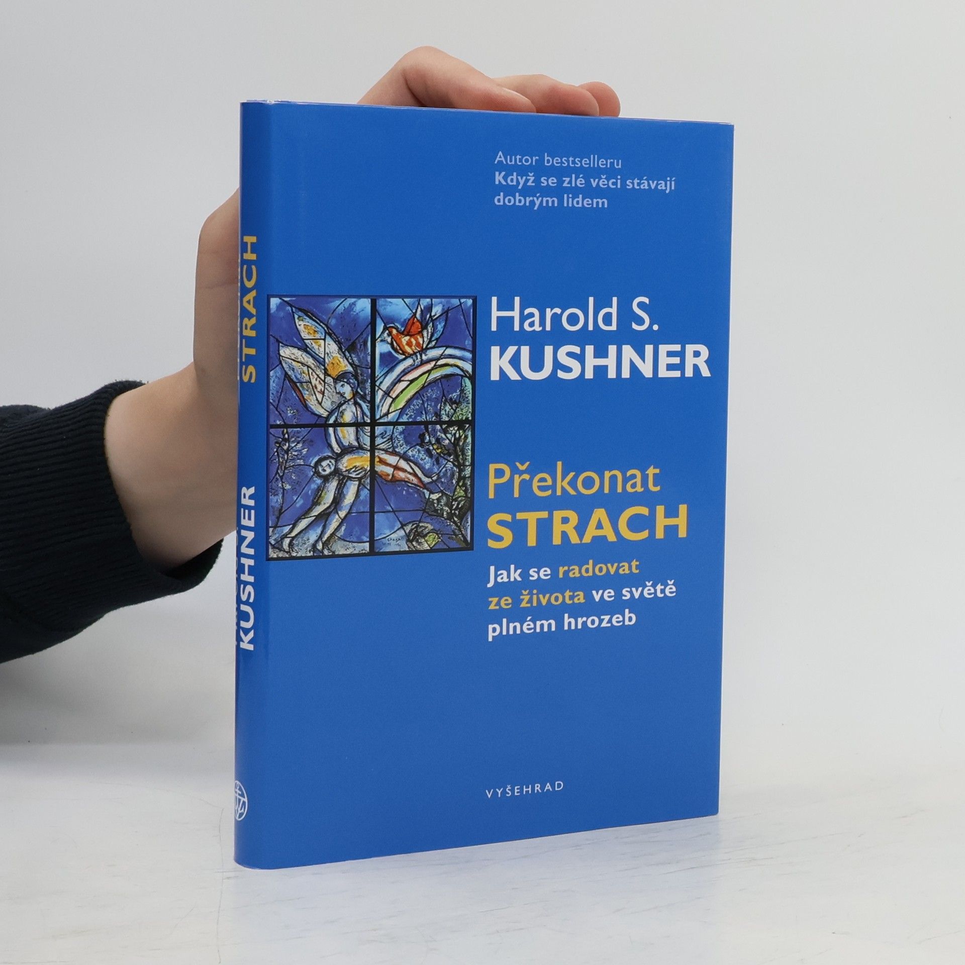 Harold Kushner Překonat strach